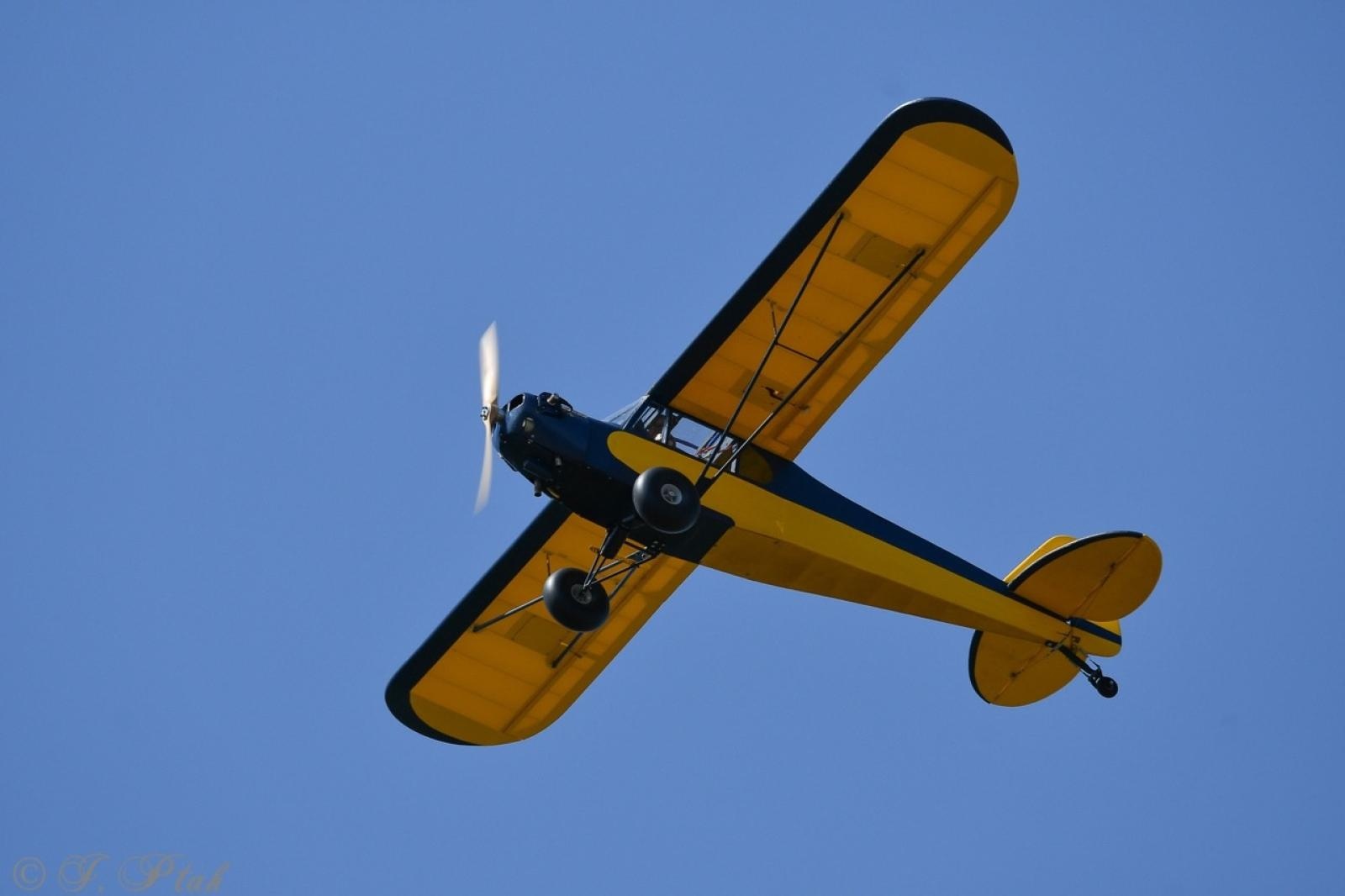 Zdjęcie w galerii na portalu naszraciborz.pl: Dwustu modelarzy na Raciborskim Air Show. To największa impreza modelarska w Polsce! wiadomości z regionu