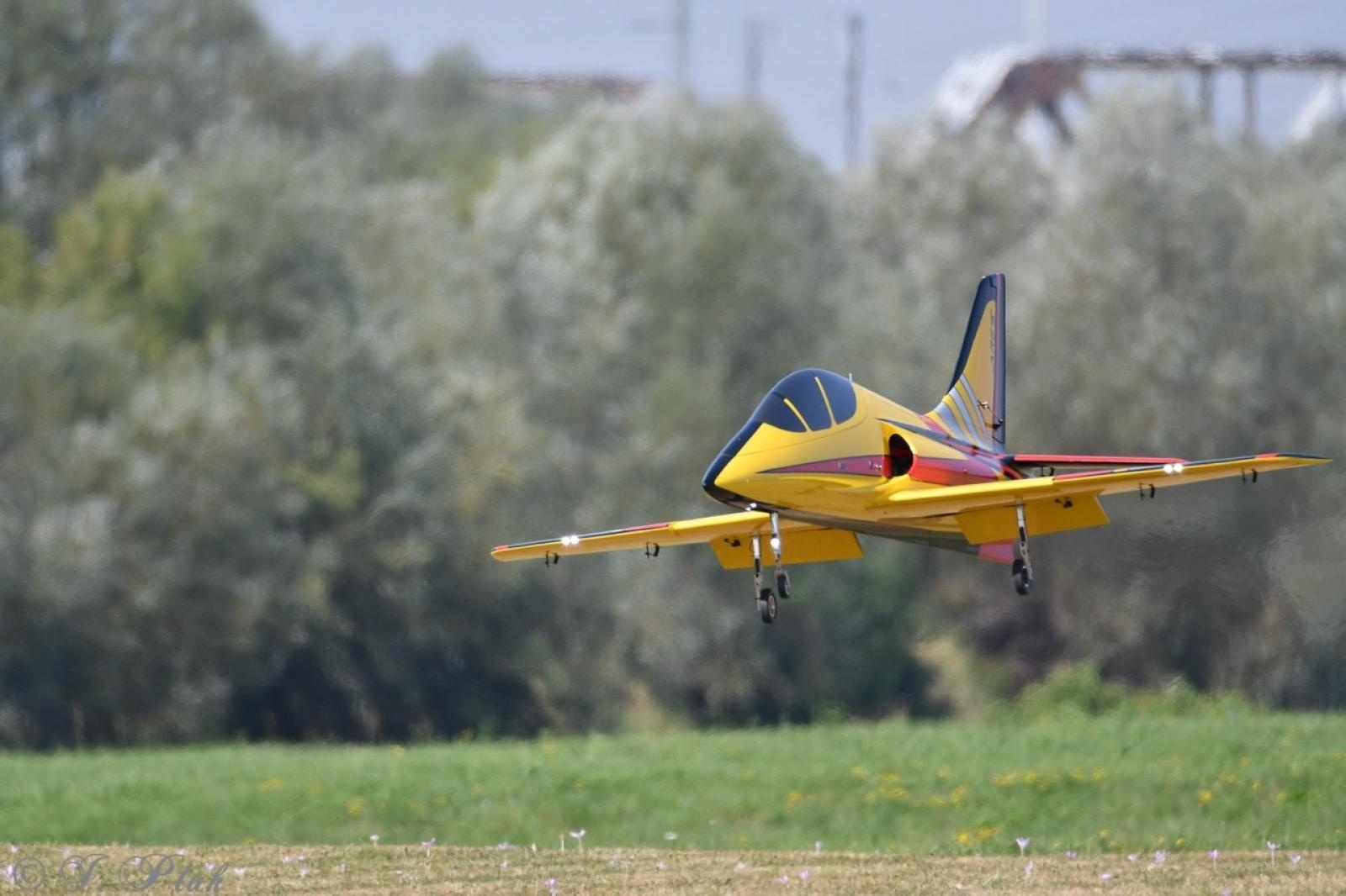 Zdjęcie w galerii na portalu naszraciborz.pl: Dwustu modelarzy na Raciborskim Air Show. To największa impreza modelarska w Polsce! wiadomości z regionu