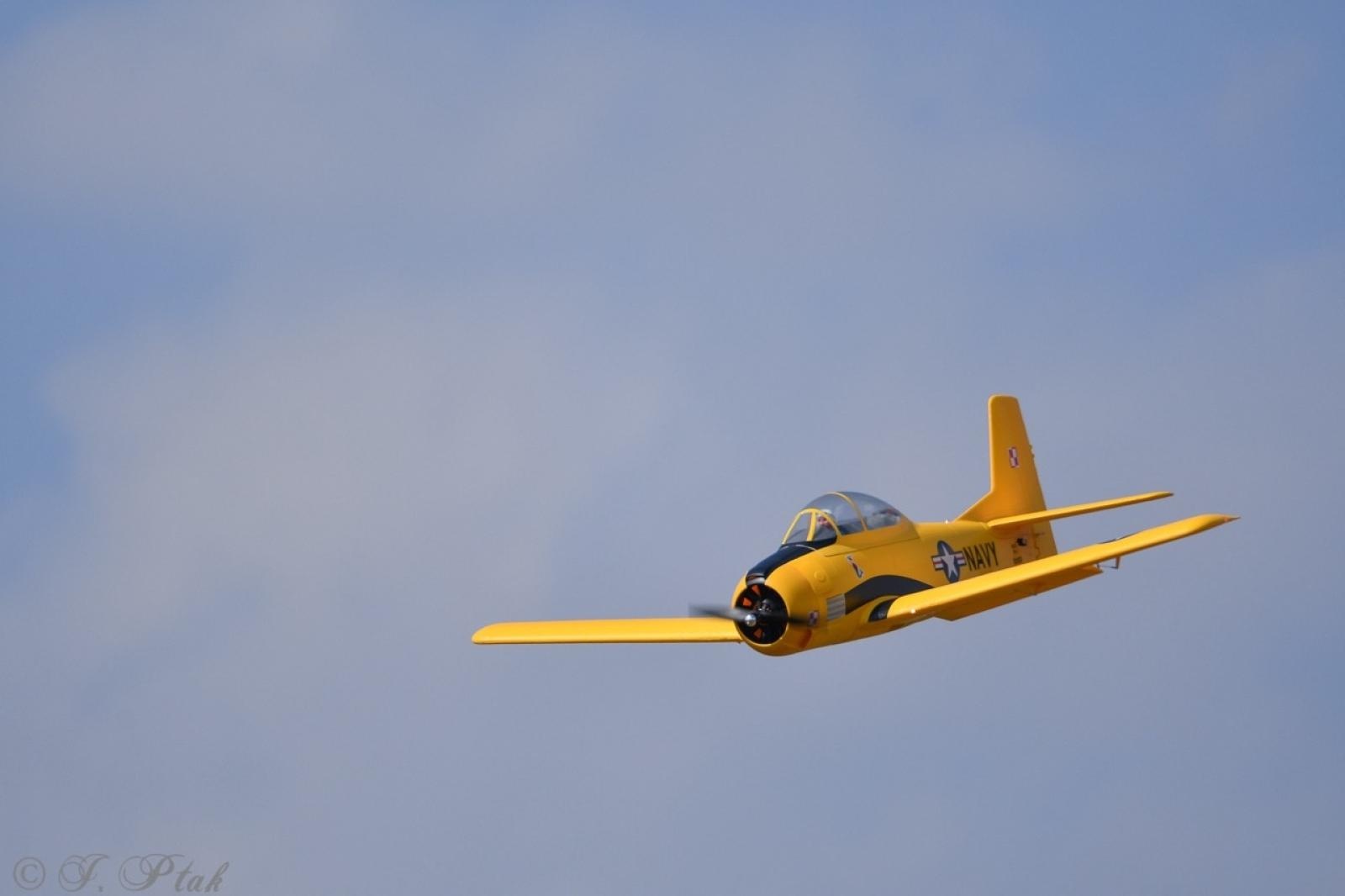 Zdjęcie w galerii na portalu naszraciborz.pl: Dwustu modelarzy na Raciborskim Air Show. To największa impreza modelarska w Polsce! wiadomości z regionu