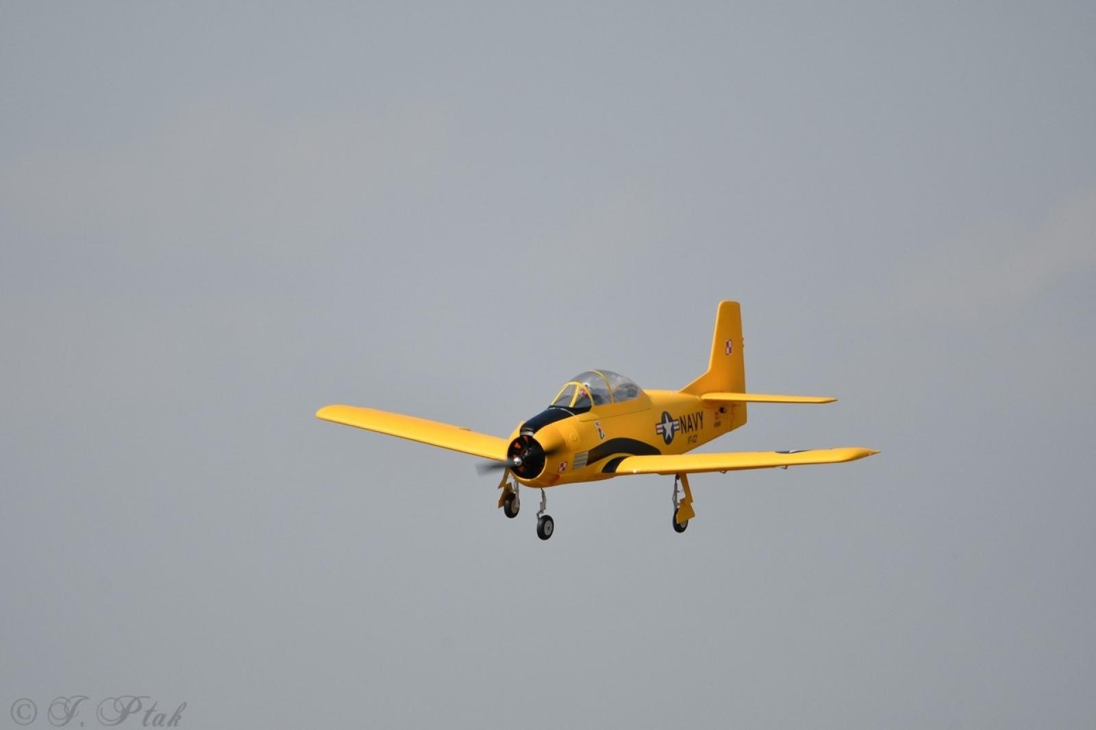 Zdjęcie w galerii na portalu naszraciborz.pl: Dwustu modelarzy na Raciborskim Air Show. To największa impreza modelarska w Polsce! wiadomości z regionu