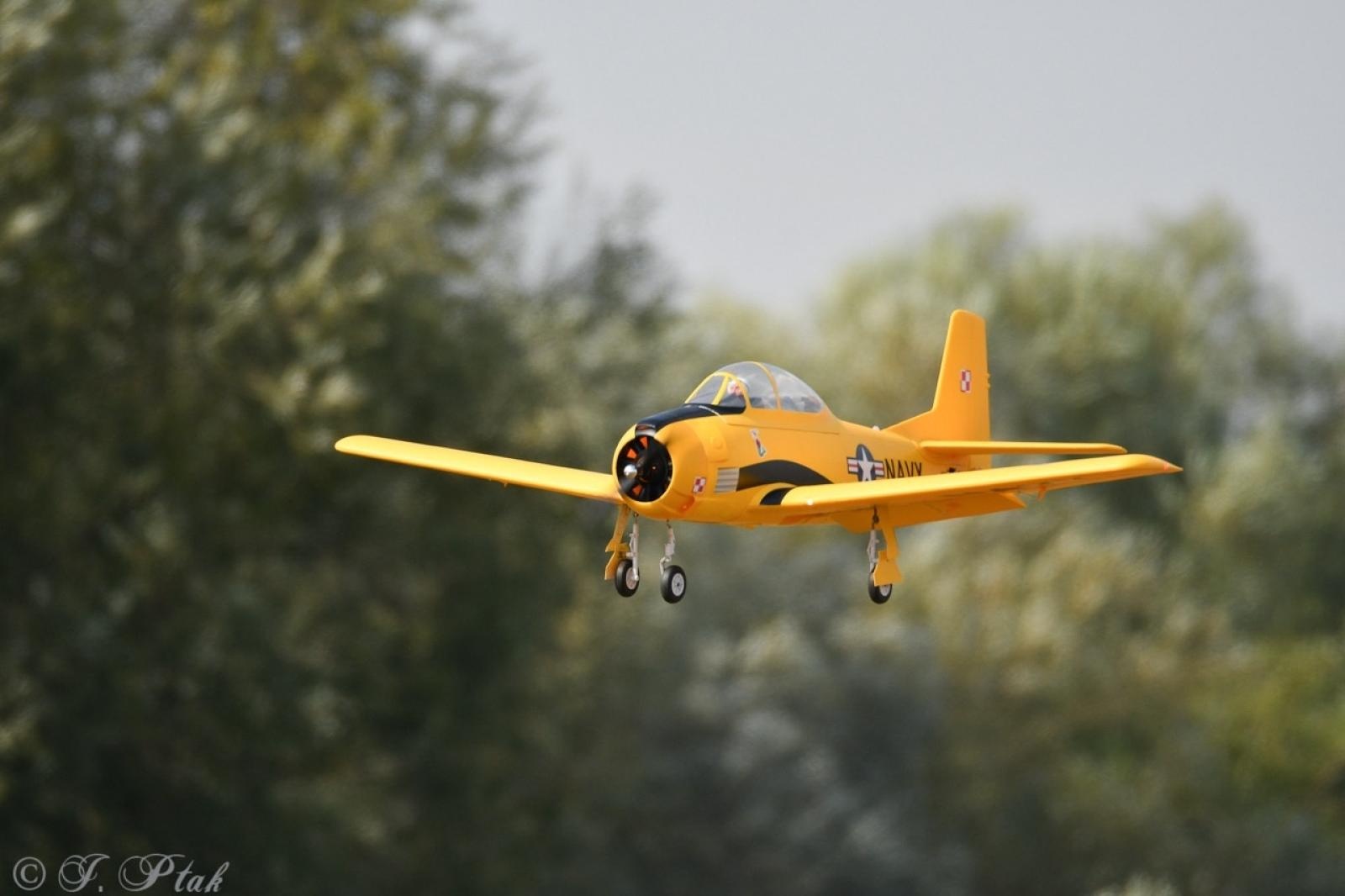 Zdjęcie w galerii na portalu naszraciborz.pl: Dwustu modelarzy na Raciborskim Air Show. To największa impreza modelarska w Polsce! wiadomości z regionu