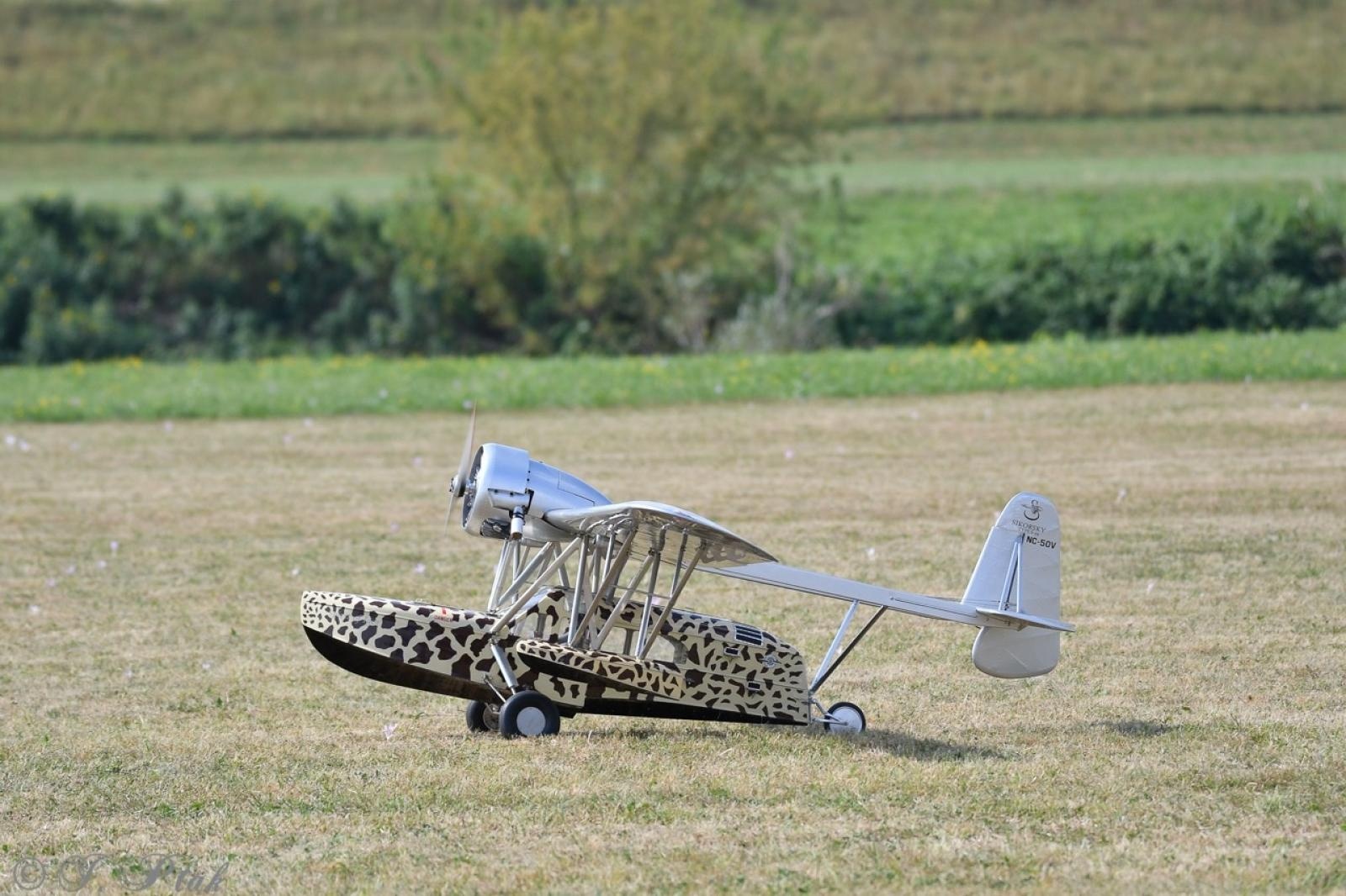 Zdjęcie w galerii na portalu naszraciborz.pl: Dwustu modelarzy na Raciborskim Air Show. To największa impreza modelarska w Polsce! wiadomości z regionu