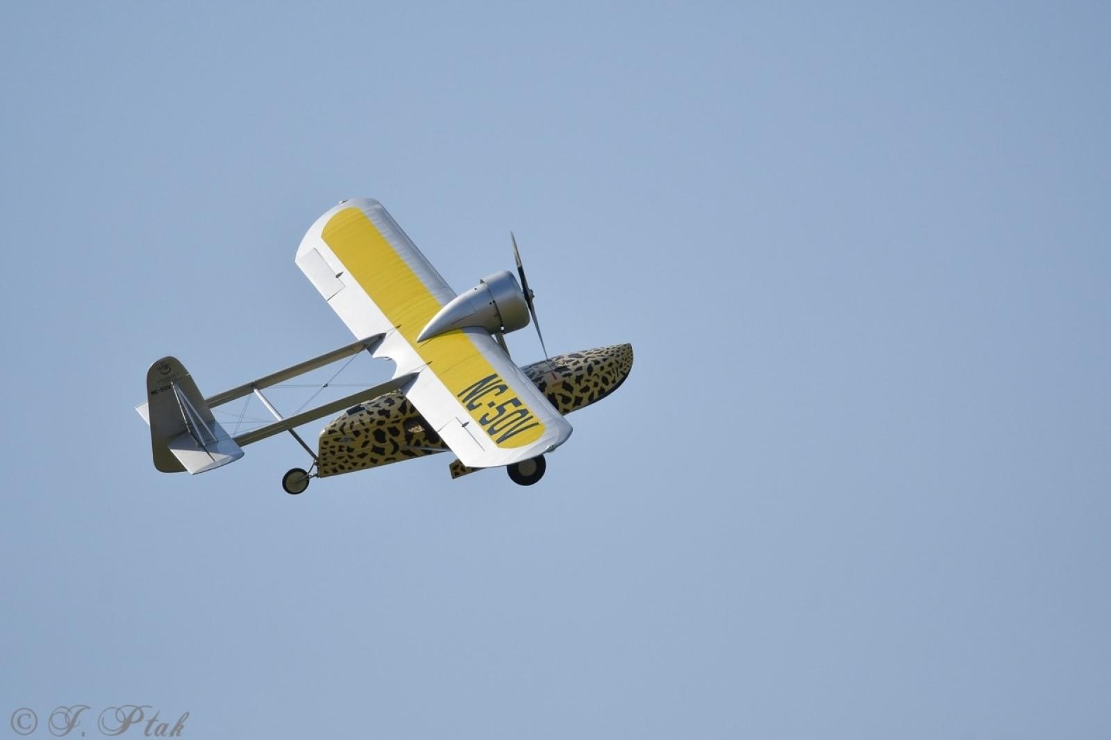 Zdjęcie w galerii na portalu naszraciborz.pl: Dwustu modelarzy na Raciborskim Air Show. To największa impreza modelarska w Polsce! wiadomości z regionu