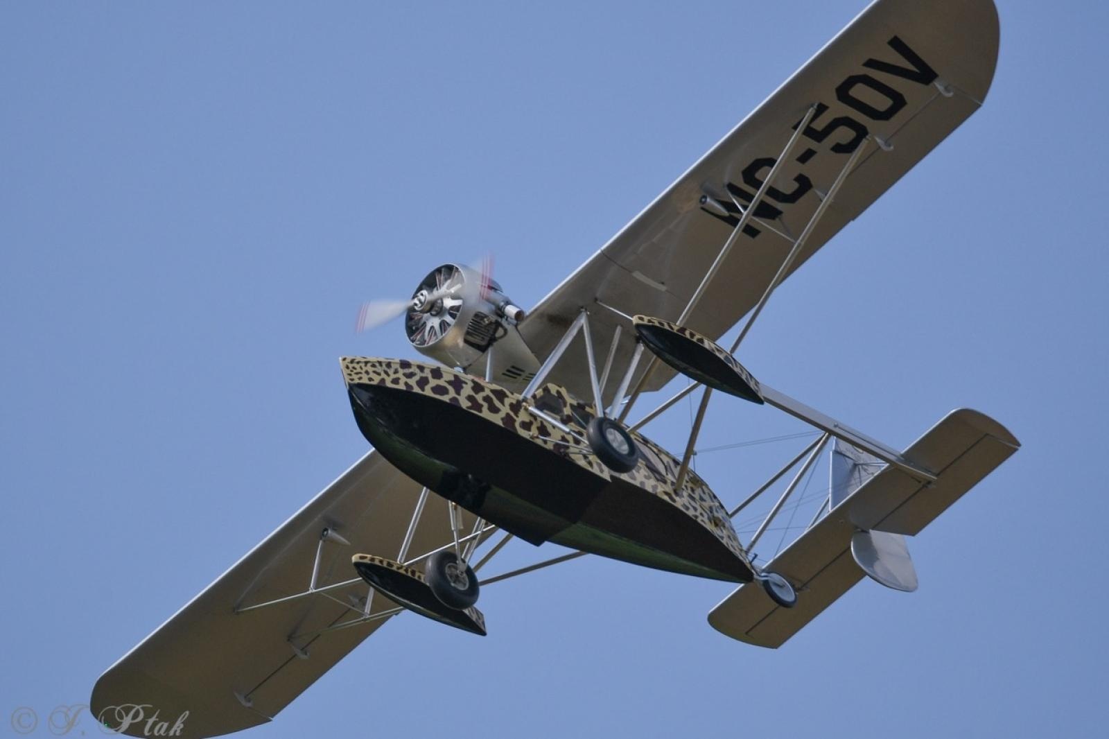 Zdjęcie w galerii na portalu naszraciborz.pl: Dwustu modelarzy na Raciborskim Air Show. To największa impreza modelarska w Polsce! wiadomości z regionu