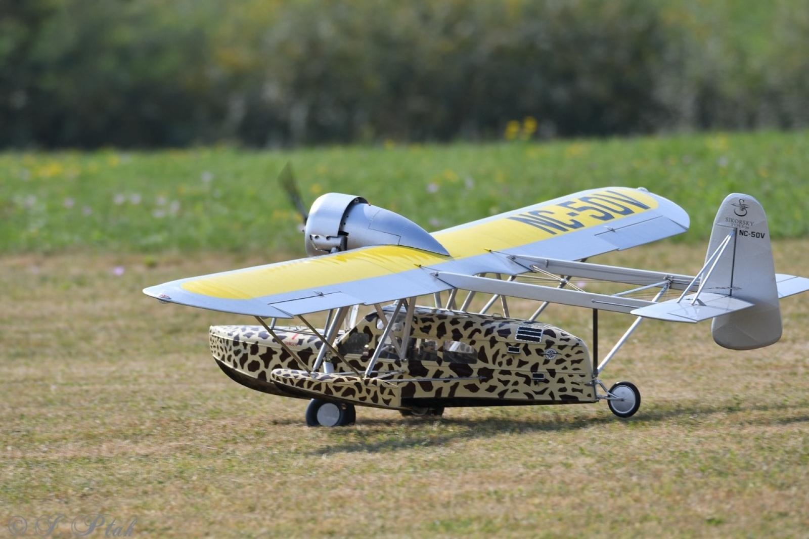 Zdjęcie w galerii na portalu naszraciborz.pl: Dwustu modelarzy na Raciborskim Air Show. To największa impreza modelarska w Polsce! wiadomości z regionu