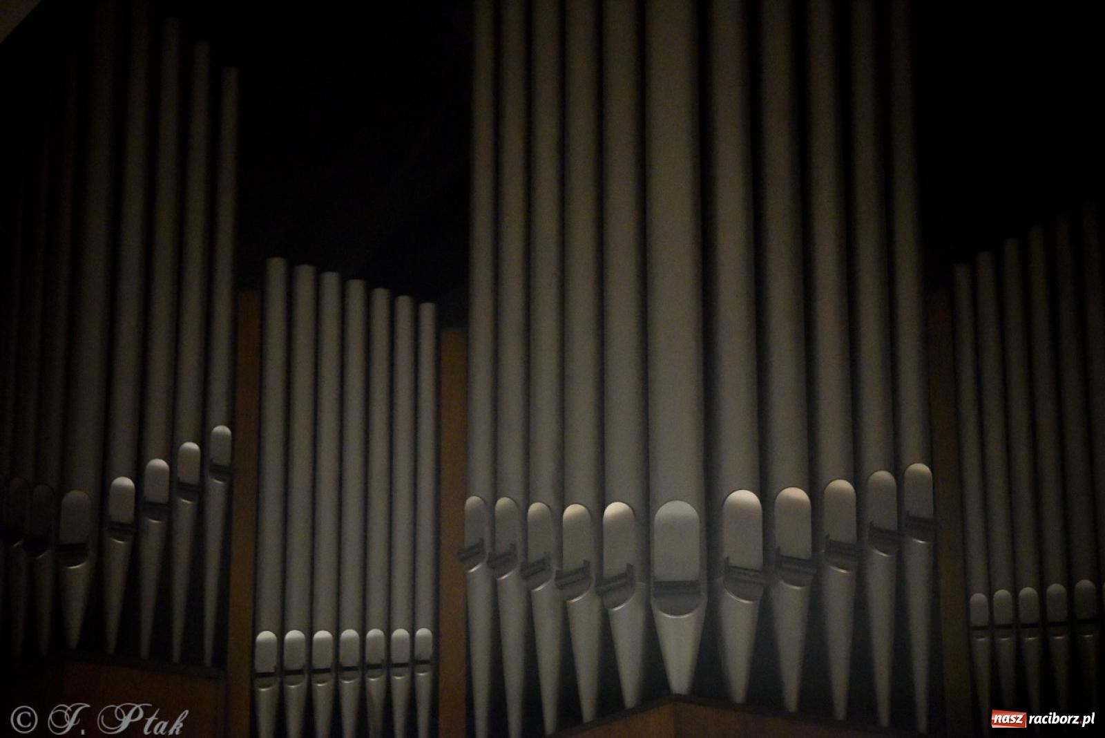 Zdjęcie w galerii na portalu naszraciborz.pl: Wirtuoz z Włoch oczarował raciborską publiczność wiadomości z regionu