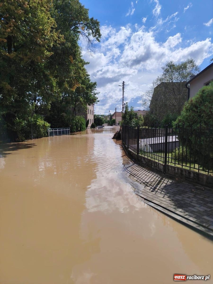 Zdjęcie w galerii na portalu naszraciborz.pl: Powódź w Krzanowicach: dramatyczne wydarzenia nad ranem 15 września [FOTO i WIDEO] wiadomości z regionu
