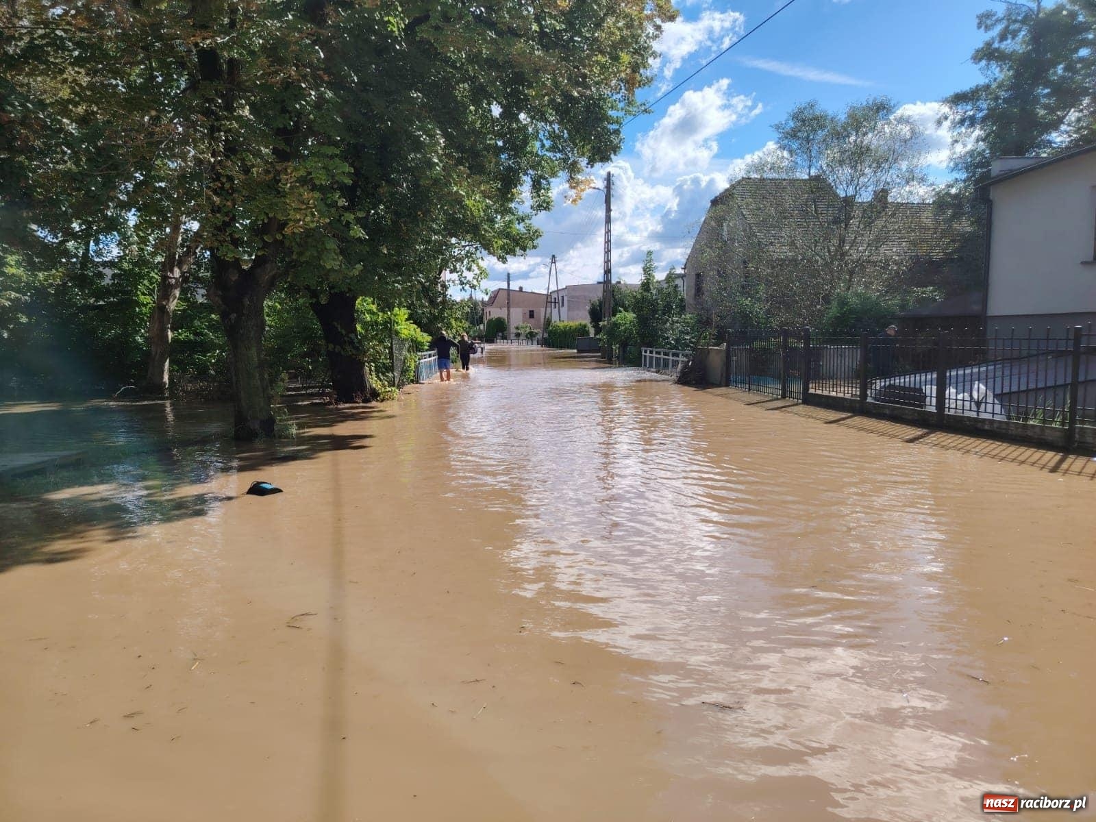 Zdjęcie w galerii na portalu naszraciborz.pl: Powódź w Krzanowicach: dramatyczne wydarzenia nad ranem 15 września [FOTO i WIDEO] wiadomości z regionu