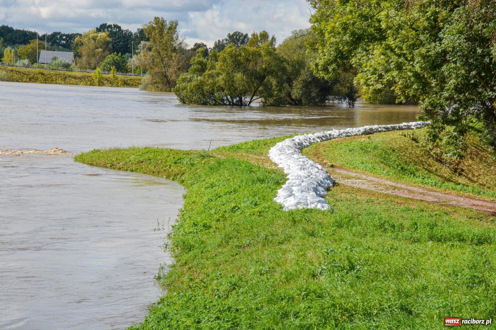 Zdjęcie w galerii na portalu naszraciborz.pl: Powódź zagraża Chałupkom i Boguminowi – ewakuacja mieszkańców i intensywna akcja ratunkowa [FOTO i WIDEO] wiadomości z regionu