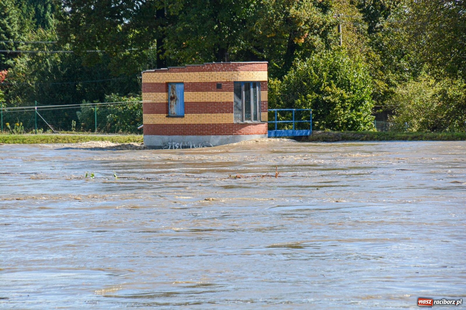 Zdjęcie w galerii na portalu naszraciborz.pl: Powódź zagraża Chałupkom i Boguminowi – ewakuacja mieszkańców i intensywna akcja ratunkowa [FOTO i WIDEO] wiadomości z regionu