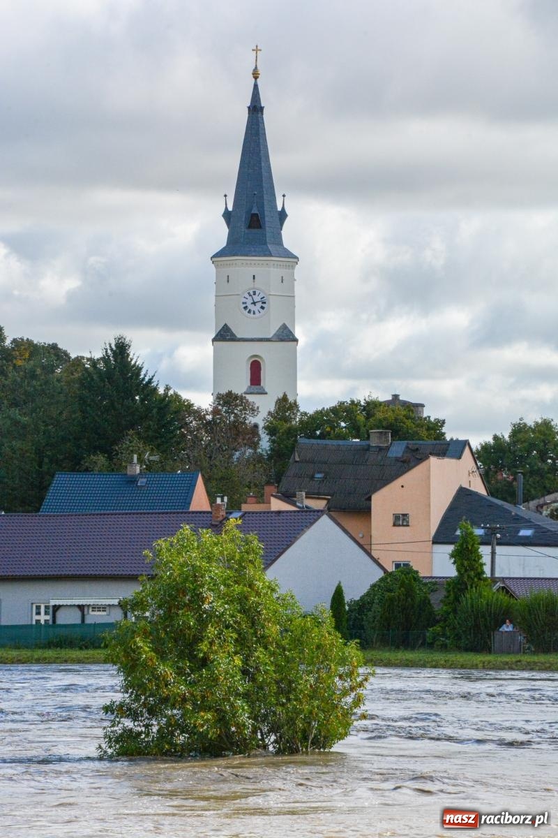 Zdjęcie w galerii na portalu naszraciborz.pl: Powódź zagraża Chałupkom i Boguminowi – ewakuacja mieszkańców i intensywna akcja ratunkowa [FOTO i WIDEO] wiadomości z regionu