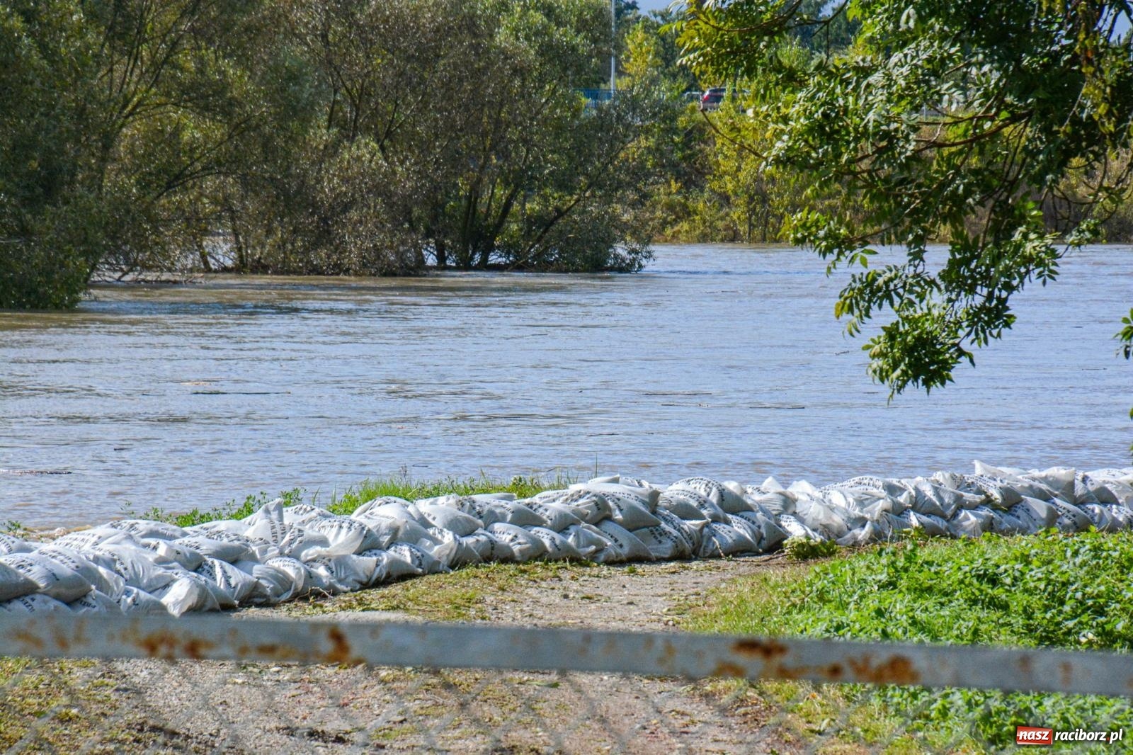 Zdjęcie w galerii na portalu naszraciborz.pl: Powódź zagraża Chałupkom i Boguminowi – ewakuacja mieszkańców i intensywna akcja ratunkowa [FOTO i WIDEO] wiadomości z regionu