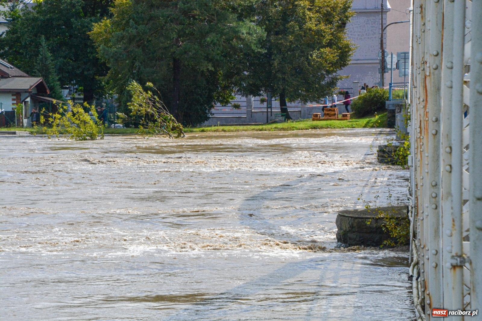 Zdjęcie w galerii na portalu naszraciborz.pl: Powódź zagraża Chałupkom i Boguminowi – ewakuacja mieszkańców i intensywna akcja ratunkowa [FOTO i WIDEO] wiadomości z regionu