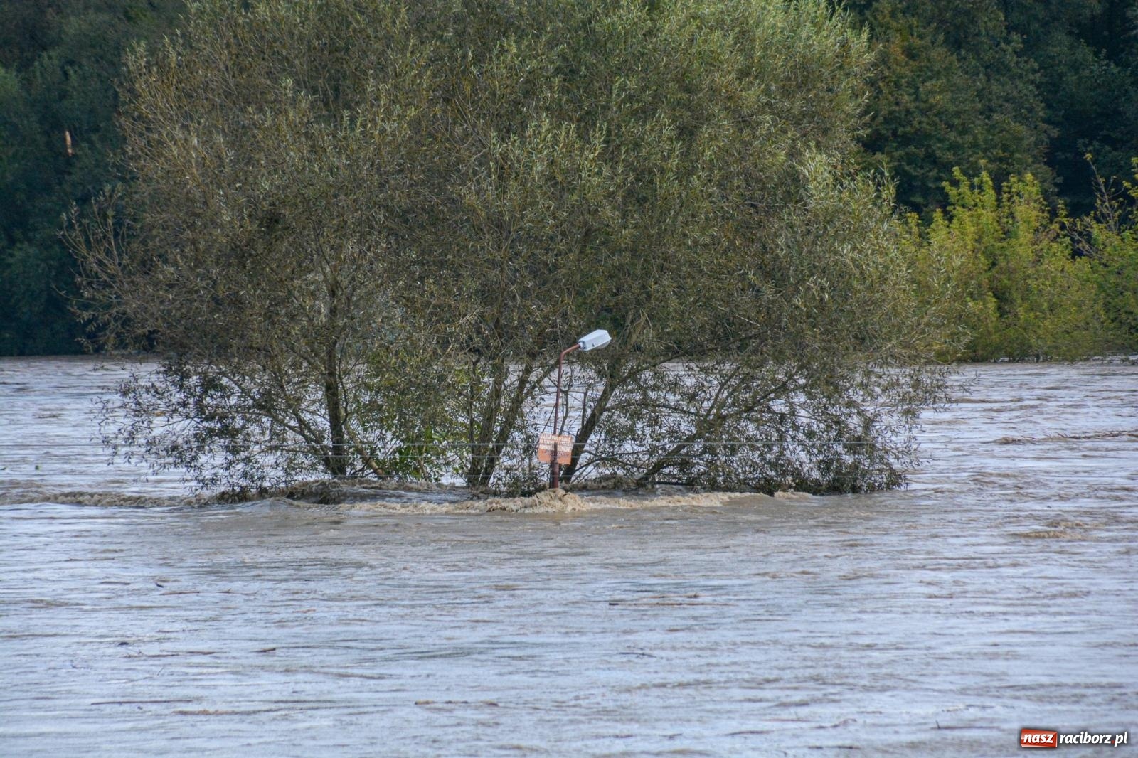 Zdjęcie w galerii na portalu naszraciborz.pl: Powódź zagraża Chałupkom i Boguminowi – ewakuacja mieszkańców i intensywna akcja ratunkowa [FOTO i WIDEO] wiadomości z regionu