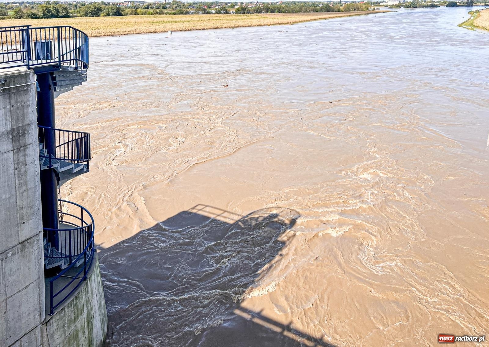 Zdjęcie w galerii na portalu naszraciborz.pl: Wody Polskie zwiększyły odpływ ze zbiornika Racibórz. Służby spodziewają się dużej fali na Odrze [FOTO z drona i WIDEO] wiadomości z regionu