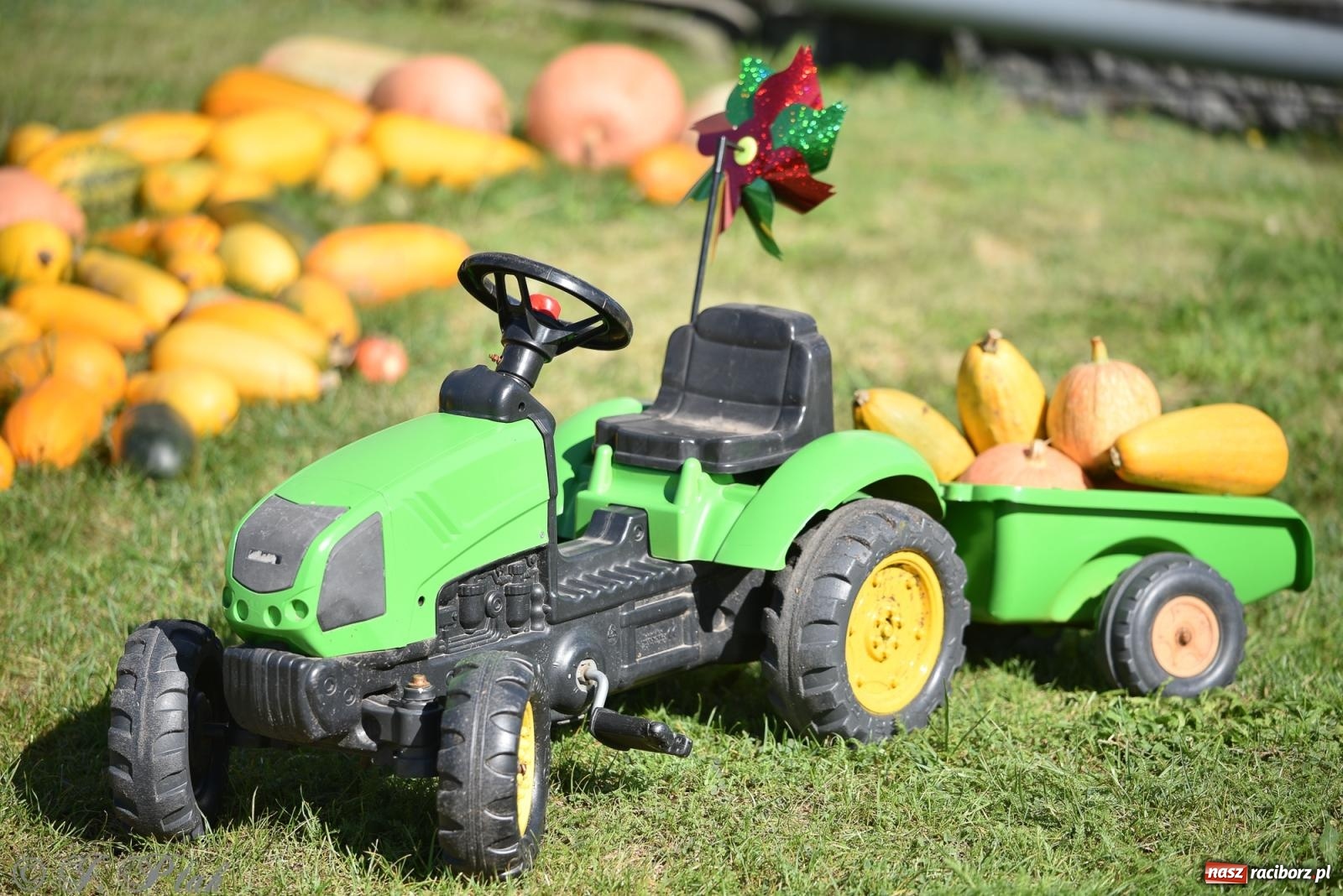 Zdjęcie w galerii na portalu naszraciborz.pl: Dożynki w Pawłowie [FOTO i WIDEO] wiadomości z regionu