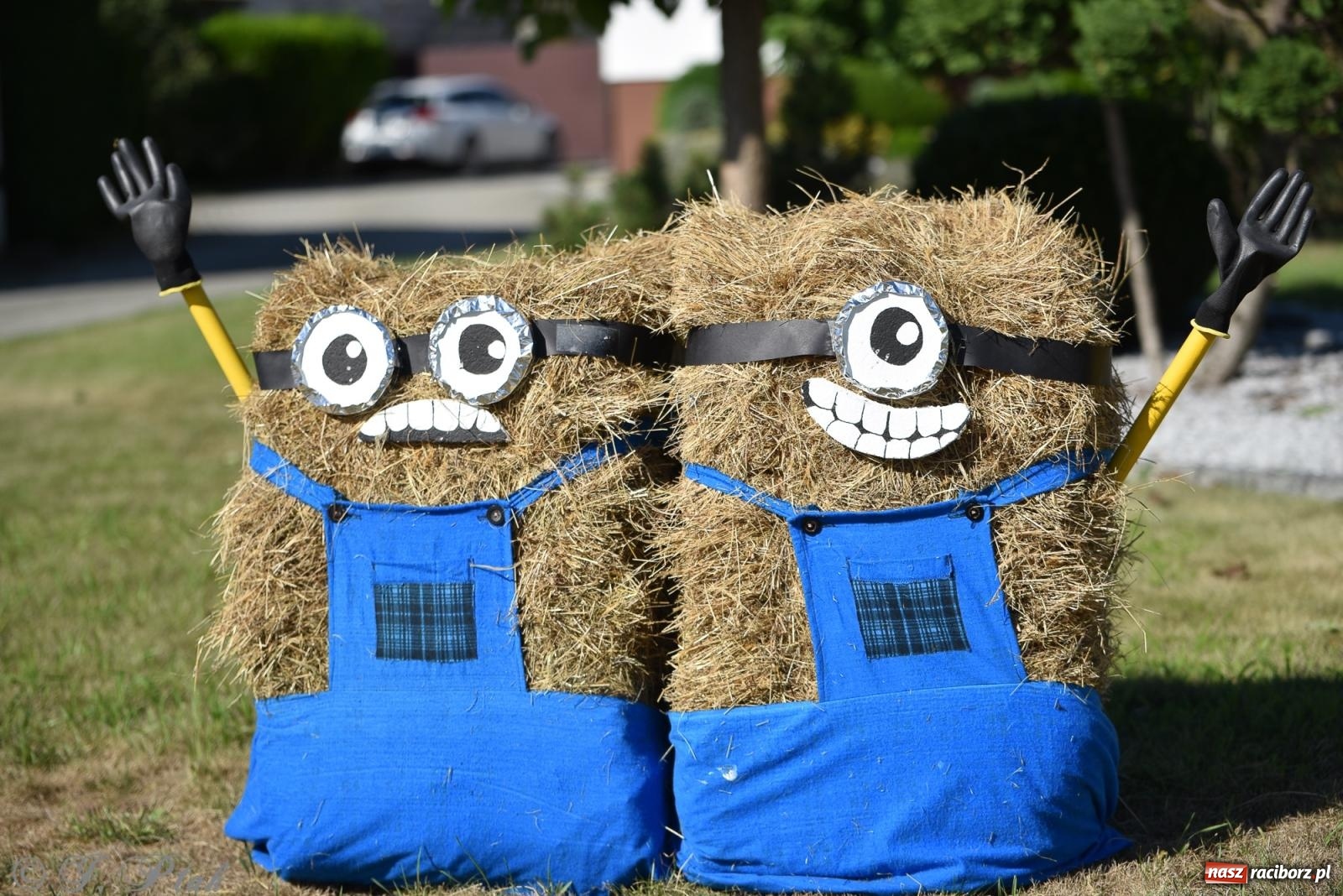 Zdjęcie w galerii na portalu naszraciborz.pl: Dożynki w Pawłowie [FOTO i WIDEO] wiadomości z regionu