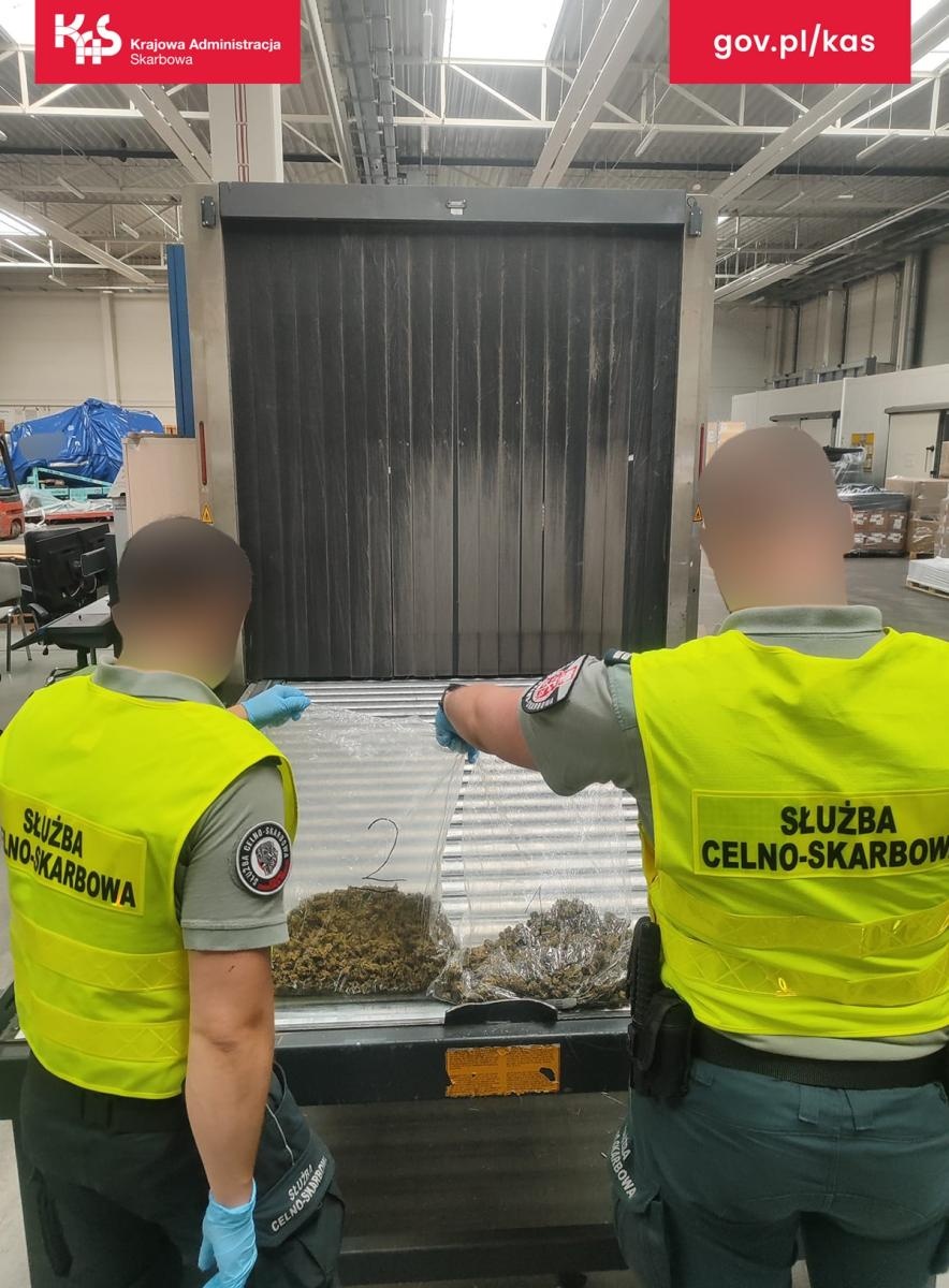Zdjęcie w galerii na portalu naszraciborz.pl: Marihuana w przesyłce z USA. KAS zabezpieczyła ponad pół kilograma narkotyku wiadomości z regionu