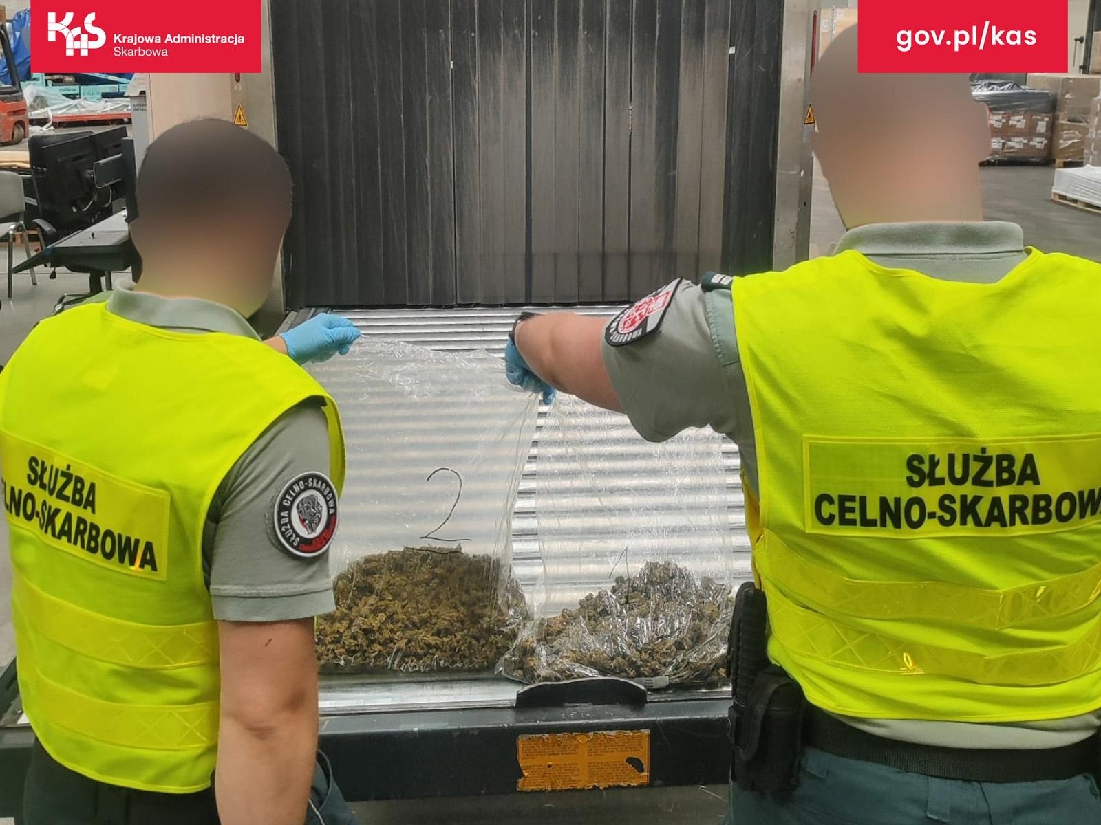 Zdjęcie w galerii na portalu naszraciborz.pl: Marihuana w przesyłce z USA. KAS zabezpieczyła ponad pół kilograma narkotyku wiadomości z regionu