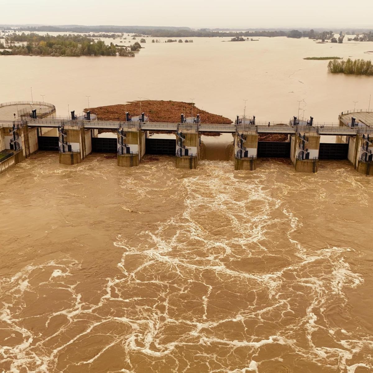 Zdjęcie w galerii na portalu naszraciborz.pl: Zbiornik Racibórz wypełniony w ponad 40 proc. Polder Buków w całości [FOTO i WIDEO] wiadomości z regionu