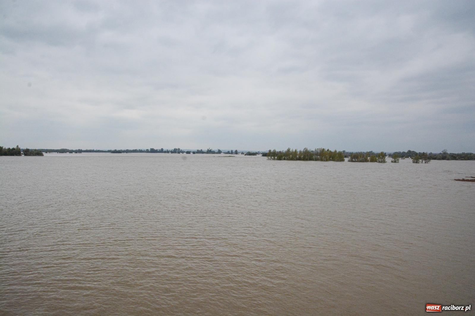 Zdjęcie w galerii na portalu naszraciborz.pl: Szef Biura Bezpieczeństwa Narodowego Kancelarii Prezydenta RP wizytował zbiornik Racibórz wiadomości z regionu