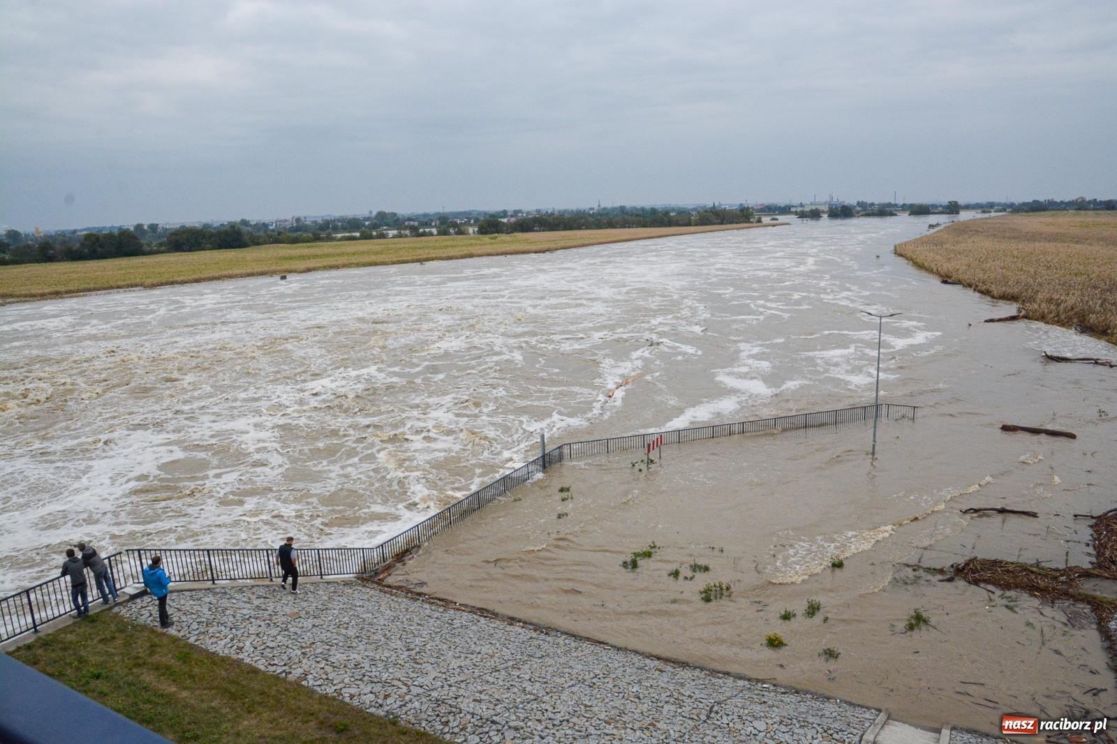 Zdjęcie w galerii na portalu naszraciborz.pl: Szef Biura Bezpieczeństwa Narodowego Kancelarii Prezydenta RP wizytował zbiornik Racibórz wiadomości z regionu
