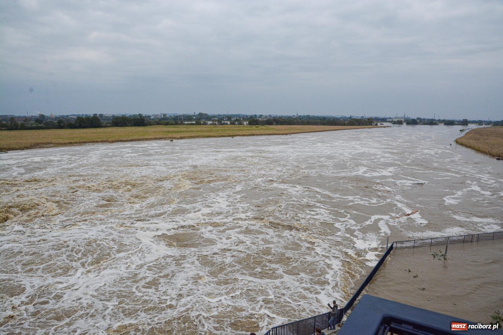 Zdjęcie w galerii na portalu naszraciborz.pl: Szef Biura Bezpieczeństwa Narodowego Kancelarii Prezydenta RP wizytował zbiornik Racibórz wiadomości z regionu
