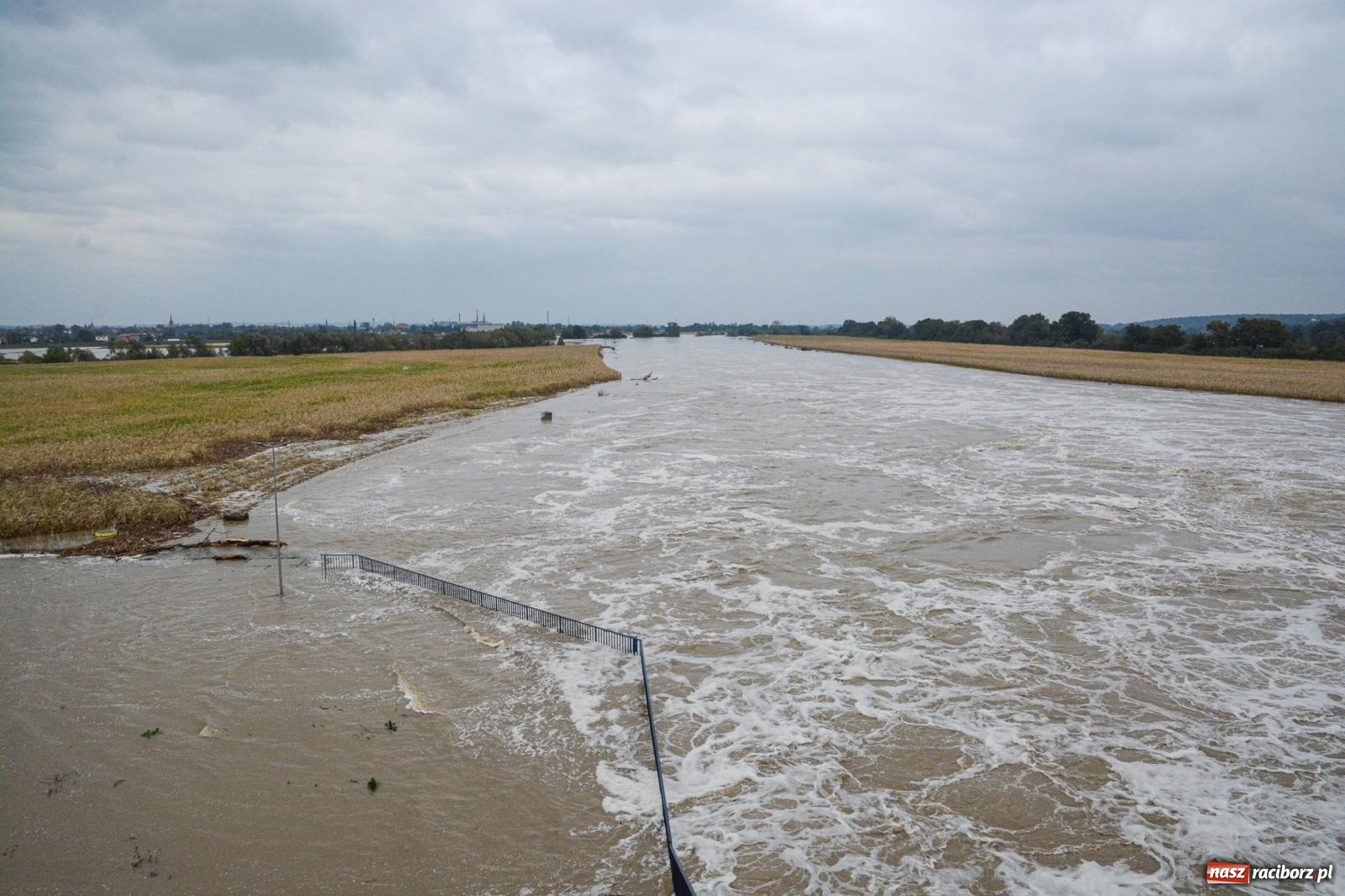Zdjęcie w galerii na portalu naszraciborz.pl: Szef Biura Bezpieczeństwa Narodowego Kancelarii Prezydenta RP wizytował zbiornik Racibórz wiadomości z regionu