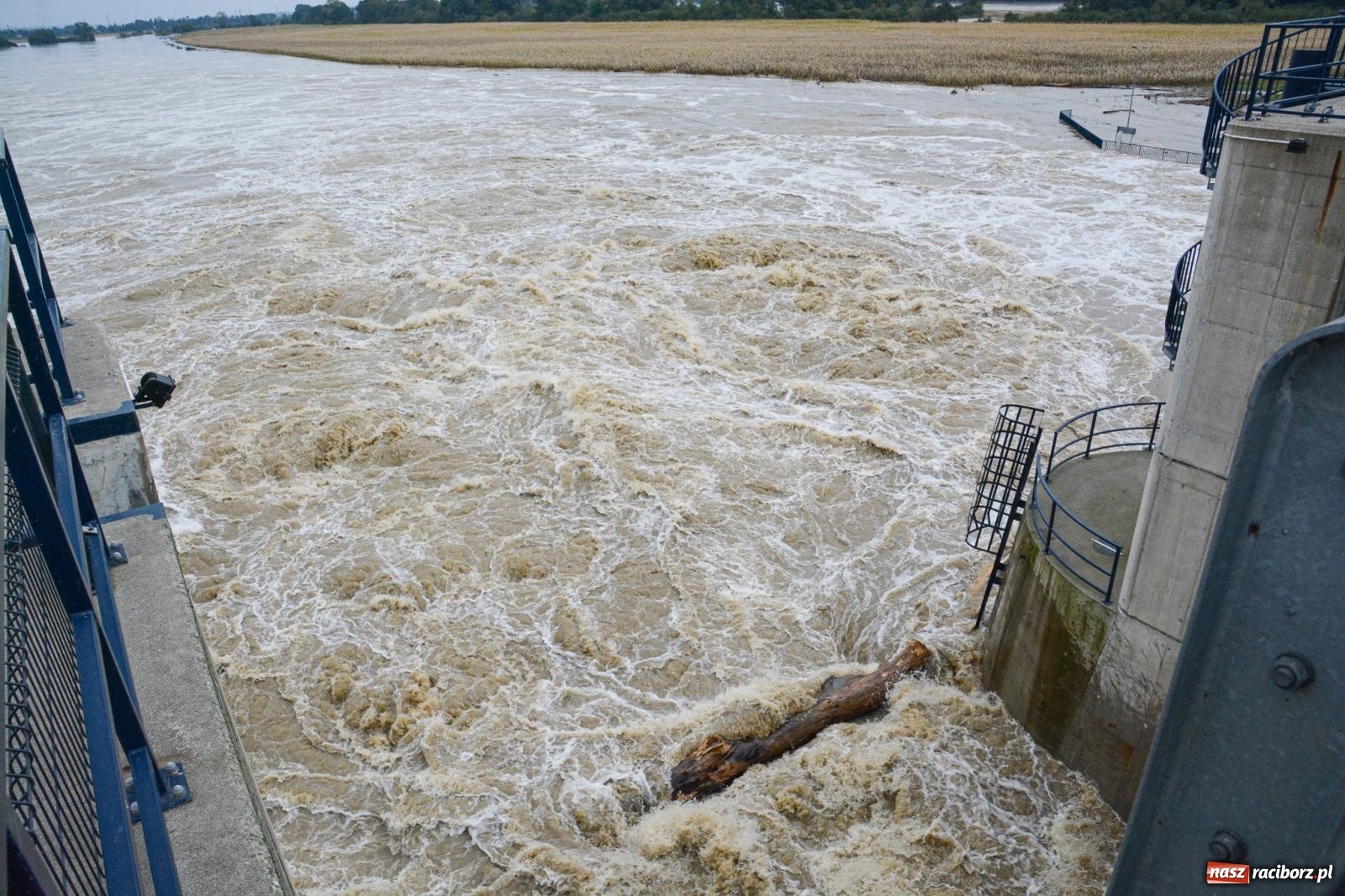 Zdjęcie w galerii na portalu naszraciborz.pl: Szef Biura Bezpieczeństwa Narodowego Kancelarii Prezydenta RP wizytował zbiornik Racibórz wiadomości z regionu