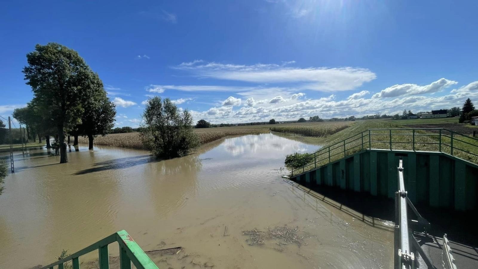 Zdjęcie w galerii na portalu naszraciborz.pl: Szandory spełniły swoje zadanie w Turzu i Grzegorzowicach wiadomości z regionu