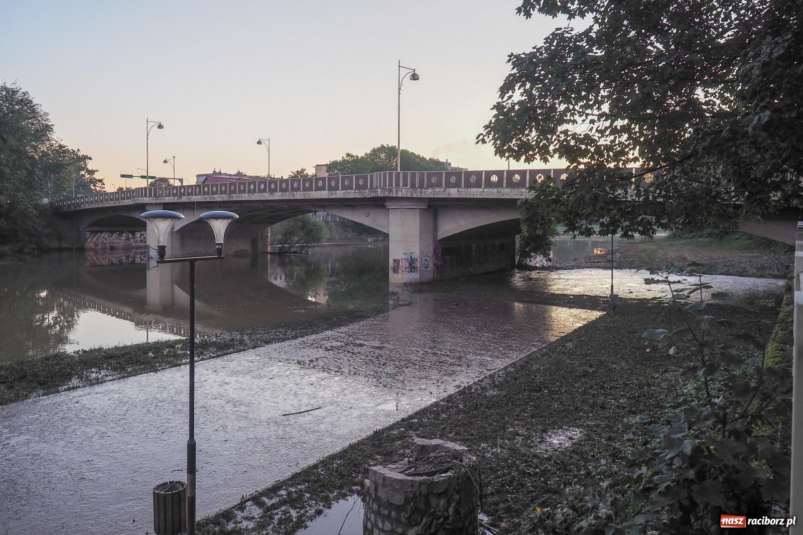 Zdjęcie w galerii na portalu naszraciborz.pl: Raciborskie bulwary po wielkiej wodzie [FOTO] wiadomości z regionu