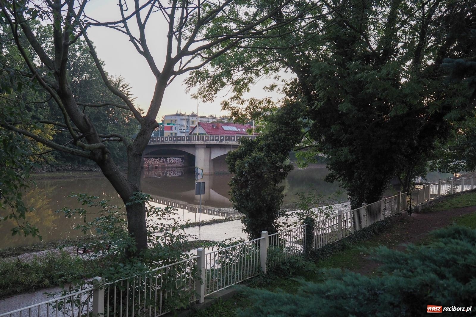 Zdjęcie w galerii na portalu naszraciborz.pl: Raciborskie bulwary po wielkiej wodzie [FOTO] wiadomości z regionu