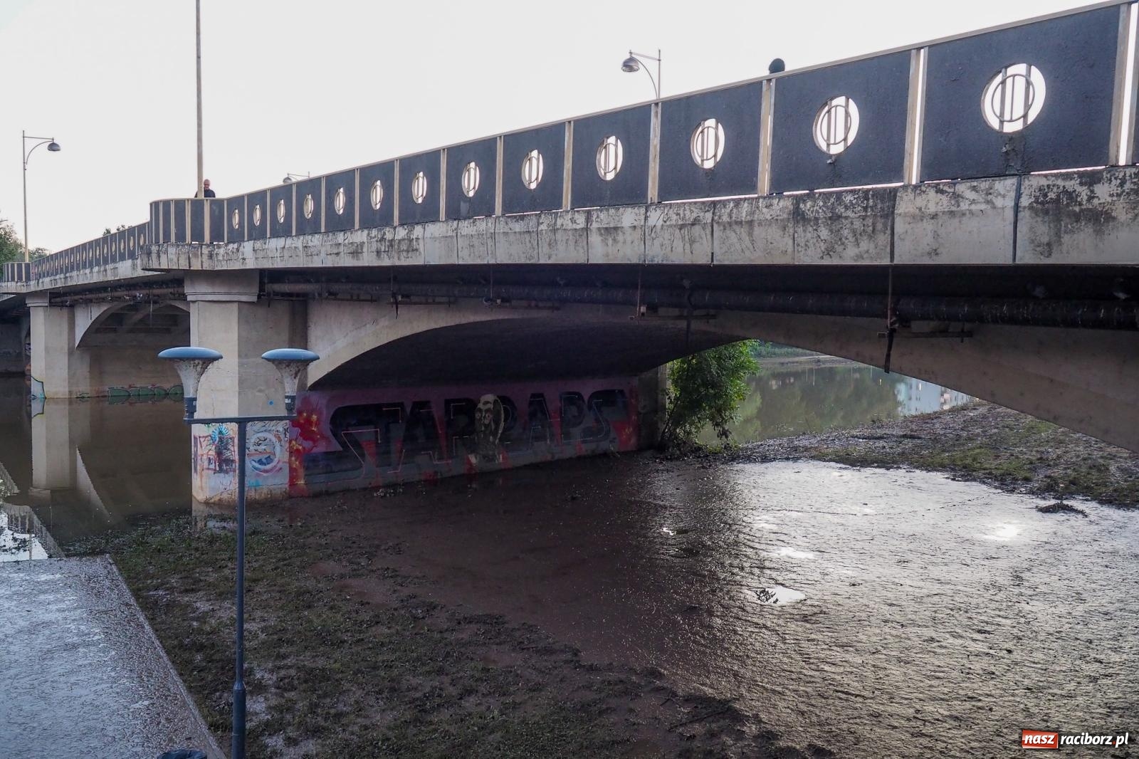 Zdjęcie w galerii na portalu naszraciborz.pl: Raciborskie bulwary po wielkiej wodzie [FOTO] wiadomości z regionu