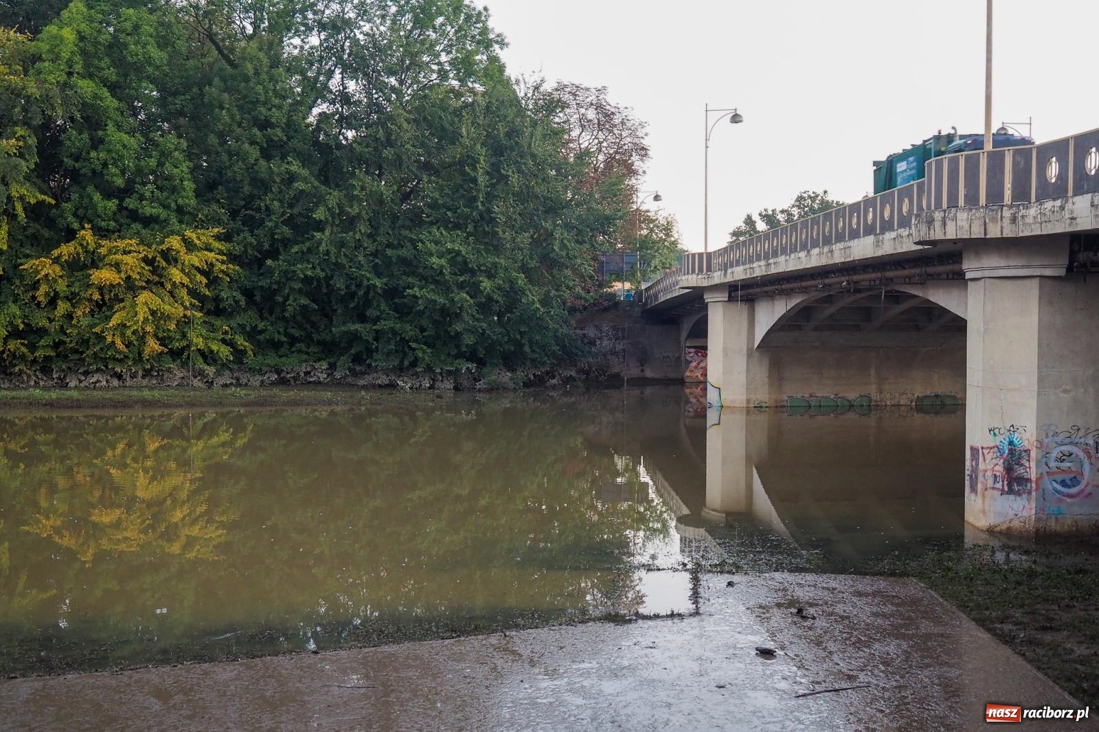 Zdjęcie w galerii na portalu naszraciborz.pl: Raciborskie bulwary po wielkiej wodzie [FOTO] wiadomości z regionu