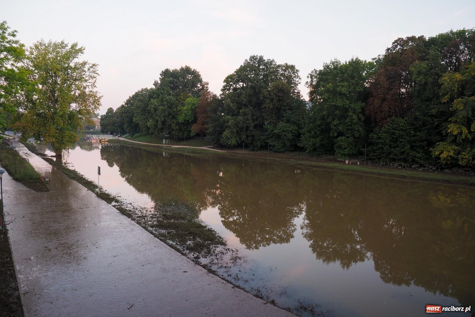 Zdjęcie w galerii na portalu naszraciborz.pl: Raciborskie bulwary po wielkiej wodzie [FOTO] wiadomości z regionu