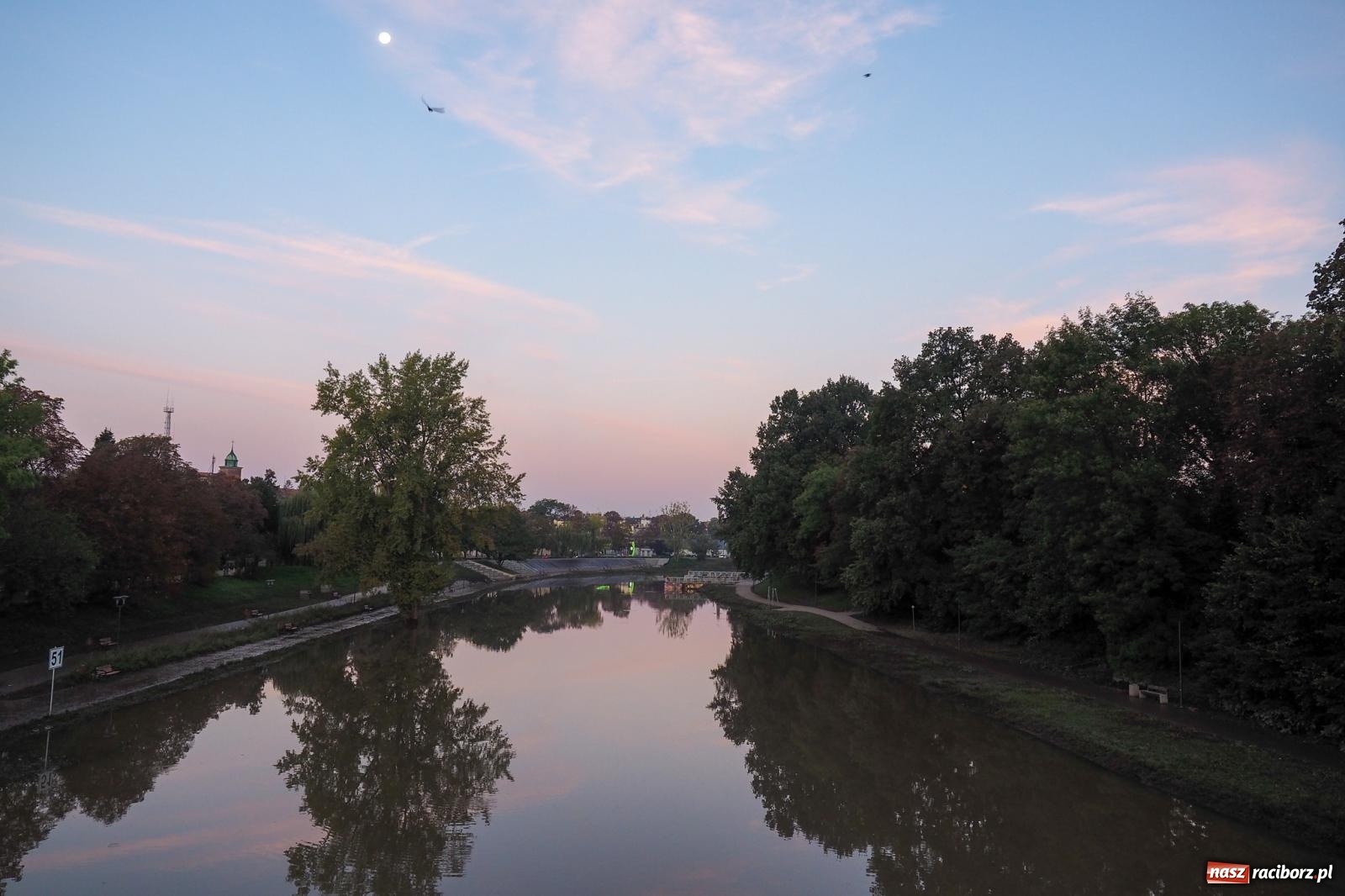 Zdjęcie w galerii na portalu naszraciborz.pl: Raciborskie bulwary po wielkiej wodzie [FOTO] wiadomości z regionu