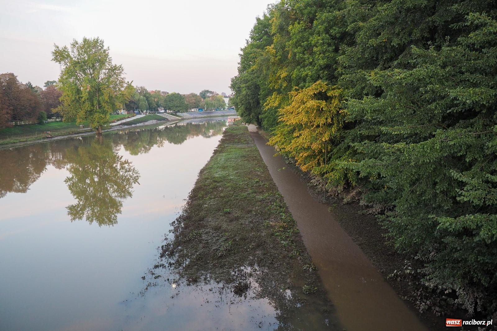 Zdjęcie w galerii na portalu naszraciborz.pl: Raciborskie bulwary po wielkiej wodzie [FOTO] wiadomości z regionu