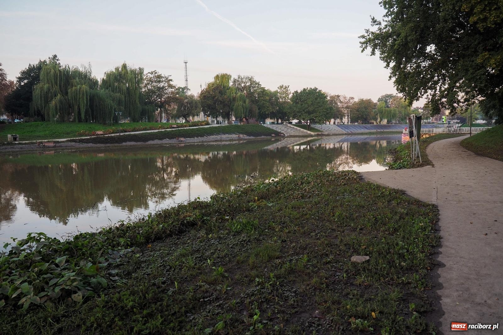 Zdjęcie w galerii na portalu naszraciborz.pl: Raciborskie bulwary po wielkiej wodzie [FOTO] wiadomości z regionu