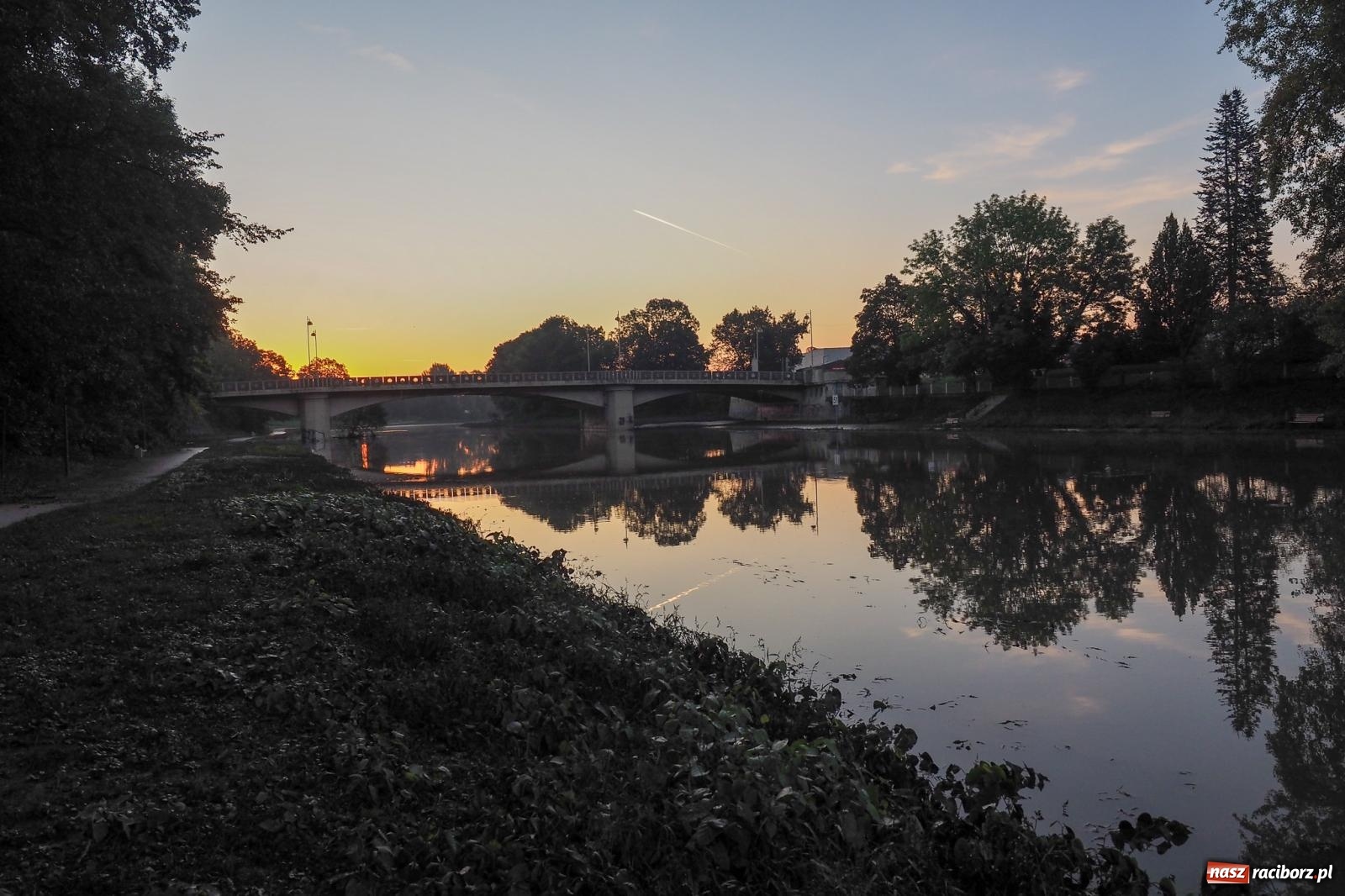 Zdjęcie w galerii na portalu naszraciborz.pl: Raciborskie bulwary po wielkiej wodzie [FOTO] wiadomości z regionu
