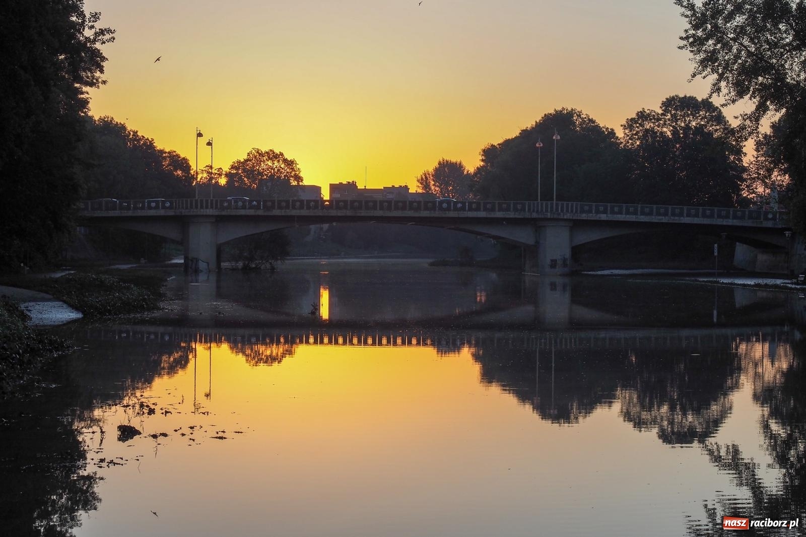 Zdjęcie w galerii na portalu naszraciborz.pl: Raciborskie bulwary po wielkiej wodzie [FOTO] wiadomości z regionu