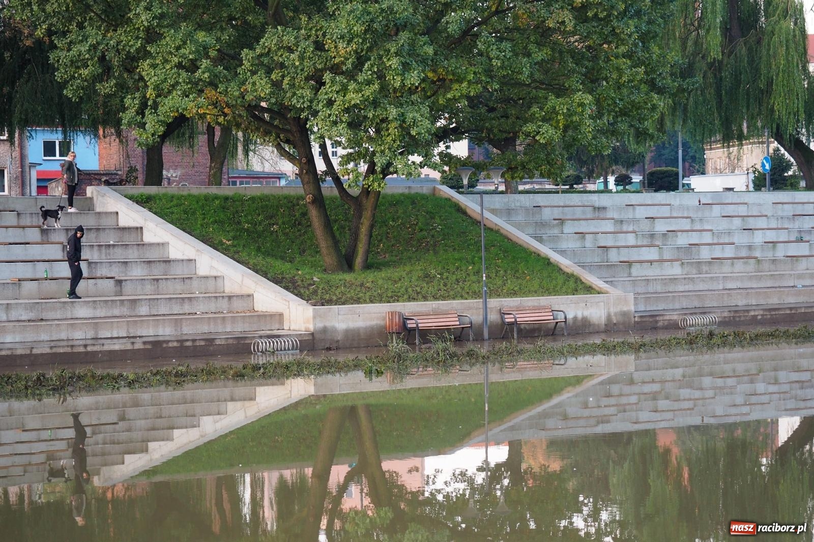 Zdjęcie w galerii na portalu naszraciborz.pl: Raciborskie bulwary po wielkiej wodzie [FOTO] wiadomości z regionu