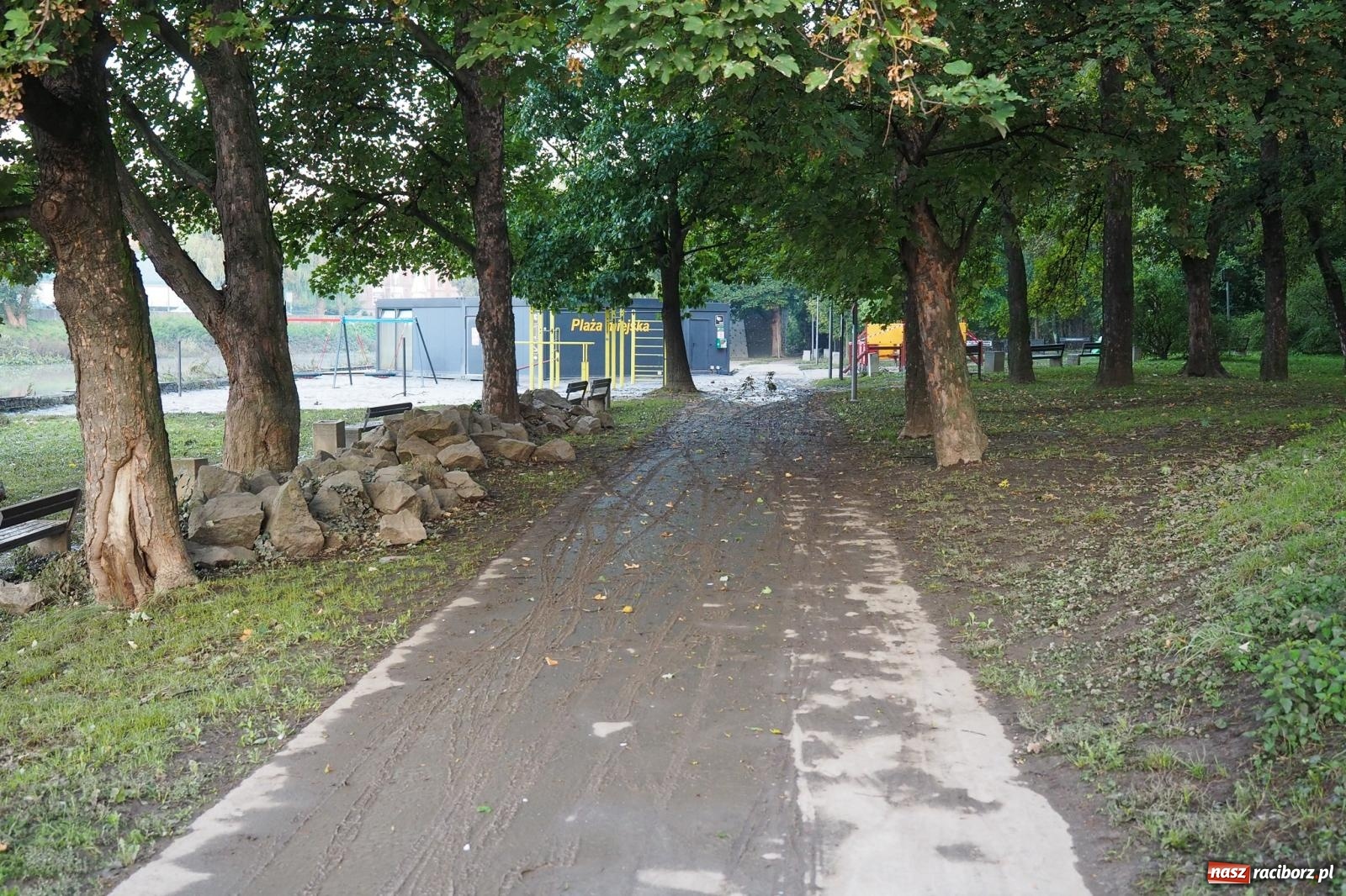 Zdjęcie w galerii na portalu naszraciborz.pl: Raciborskie bulwary po wielkiej wodzie [FOTO] wiadomości z regionu