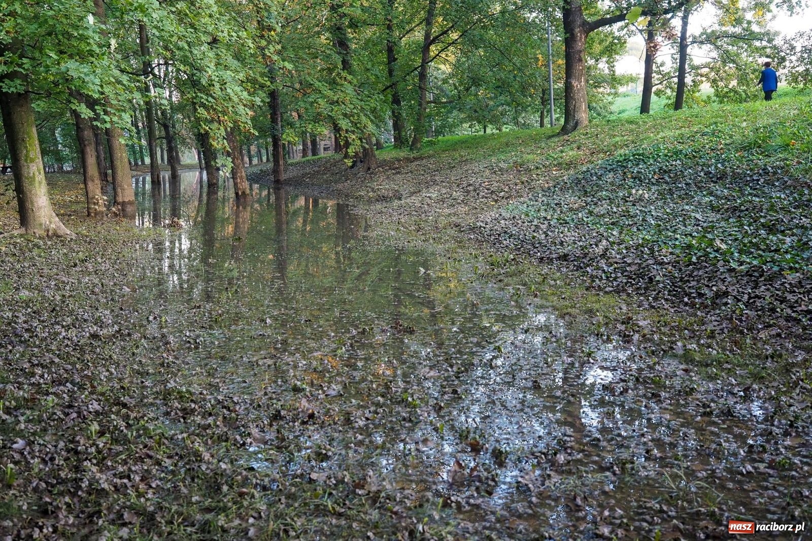 Zdjęcie w galerii na portalu naszraciborz.pl: Raciborskie bulwary po wielkiej wodzie [FOTO] wiadomości z regionu