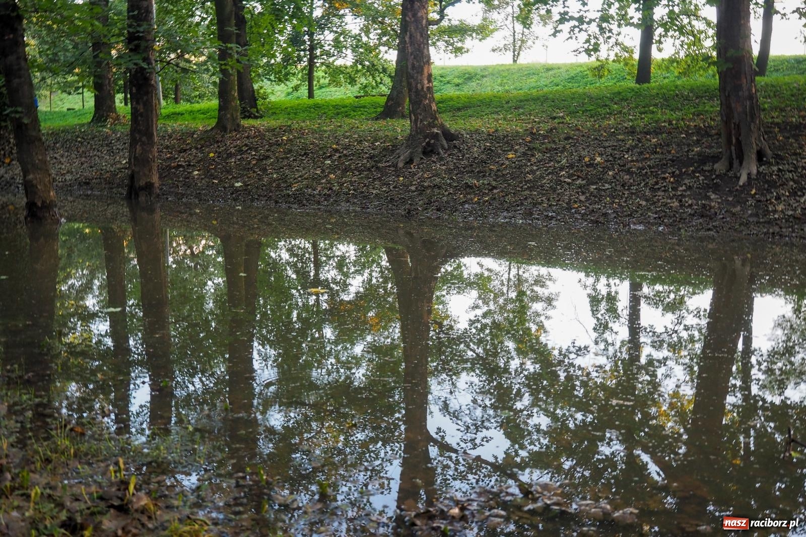 Zdjęcie w galerii na portalu naszraciborz.pl: Raciborskie bulwary po wielkiej wodzie [FOTO] wiadomości z regionu