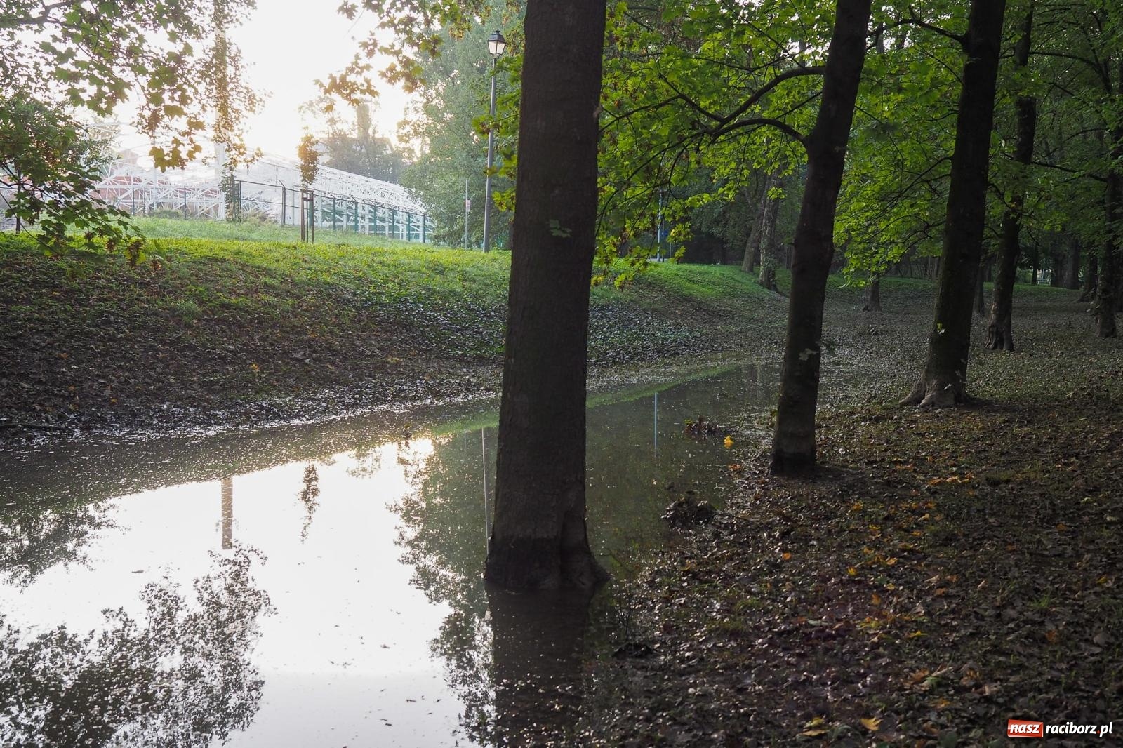 Zdjęcie w galerii na portalu naszraciborz.pl: Raciborskie bulwary po wielkiej wodzie [FOTO] wiadomości z regionu