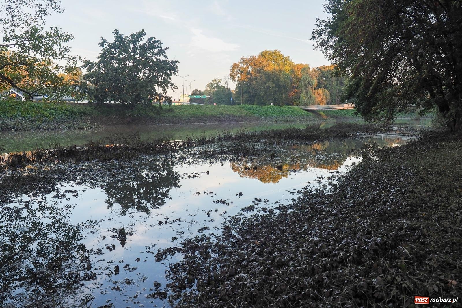 Zdjęcie w galerii na portalu naszraciborz.pl: Raciborskie bulwary po wielkiej wodzie [FOTO] wiadomości z regionu