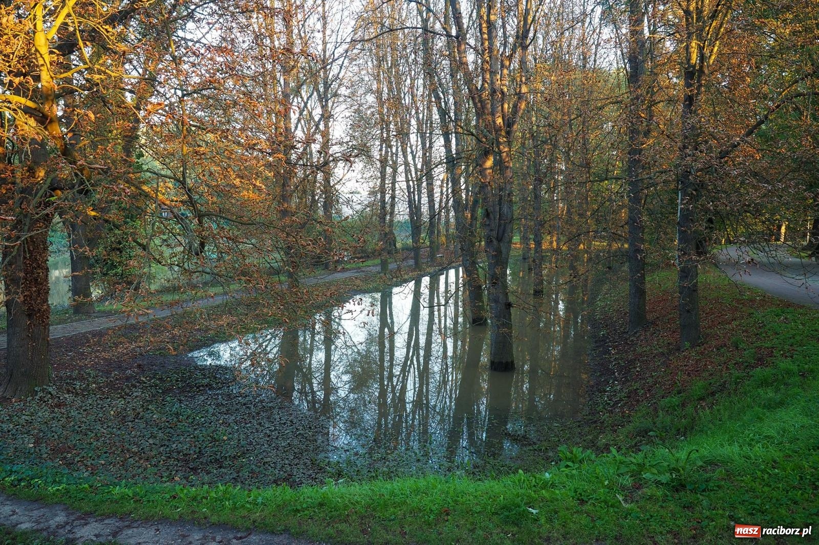 Zdjęcie w galerii na portalu naszraciborz.pl: Raciborskie bulwary po wielkiej wodzie [FOTO] wiadomości z regionu