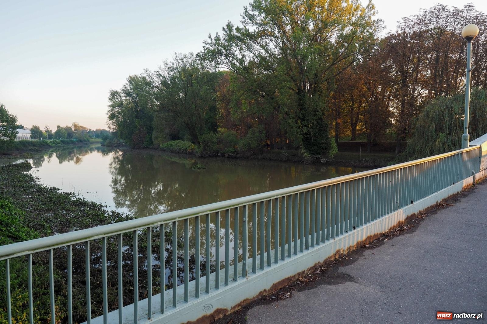Zdjęcie w galerii na portalu naszraciborz.pl: Raciborskie bulwary po wielkiej wodzie [FOTO] wiadomości z regionu