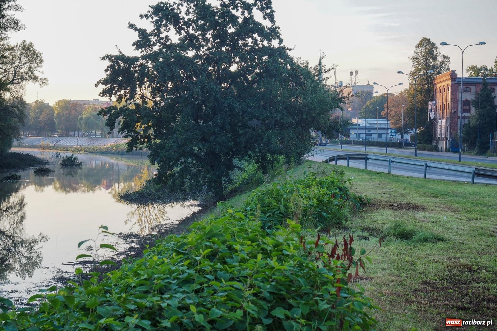 Zdjęcie w galerii na portalu naszraciborz.pl: Raciborskie bulwary po wielkiej wodzie [FOTO] wiadomości z regionu