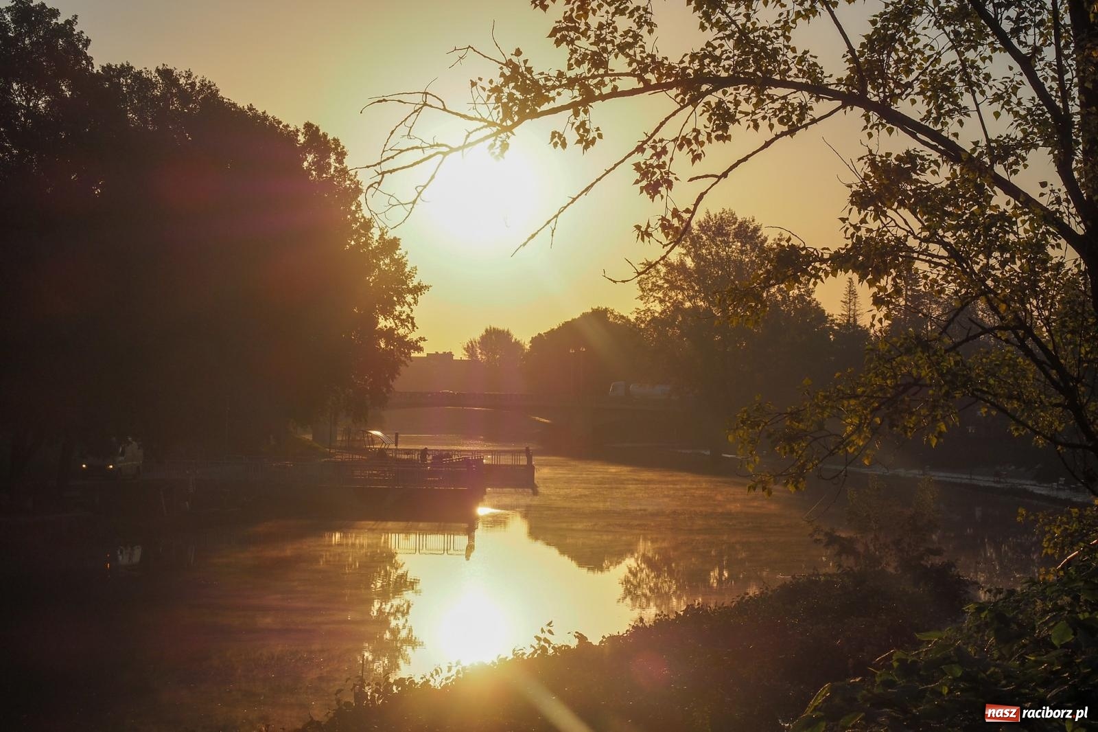 Zdjęcie w galerii na portalu naszraciborz.pl: Raciborskie bulwary po wielkiej wodzie [FOTO] wiadomości z regionu